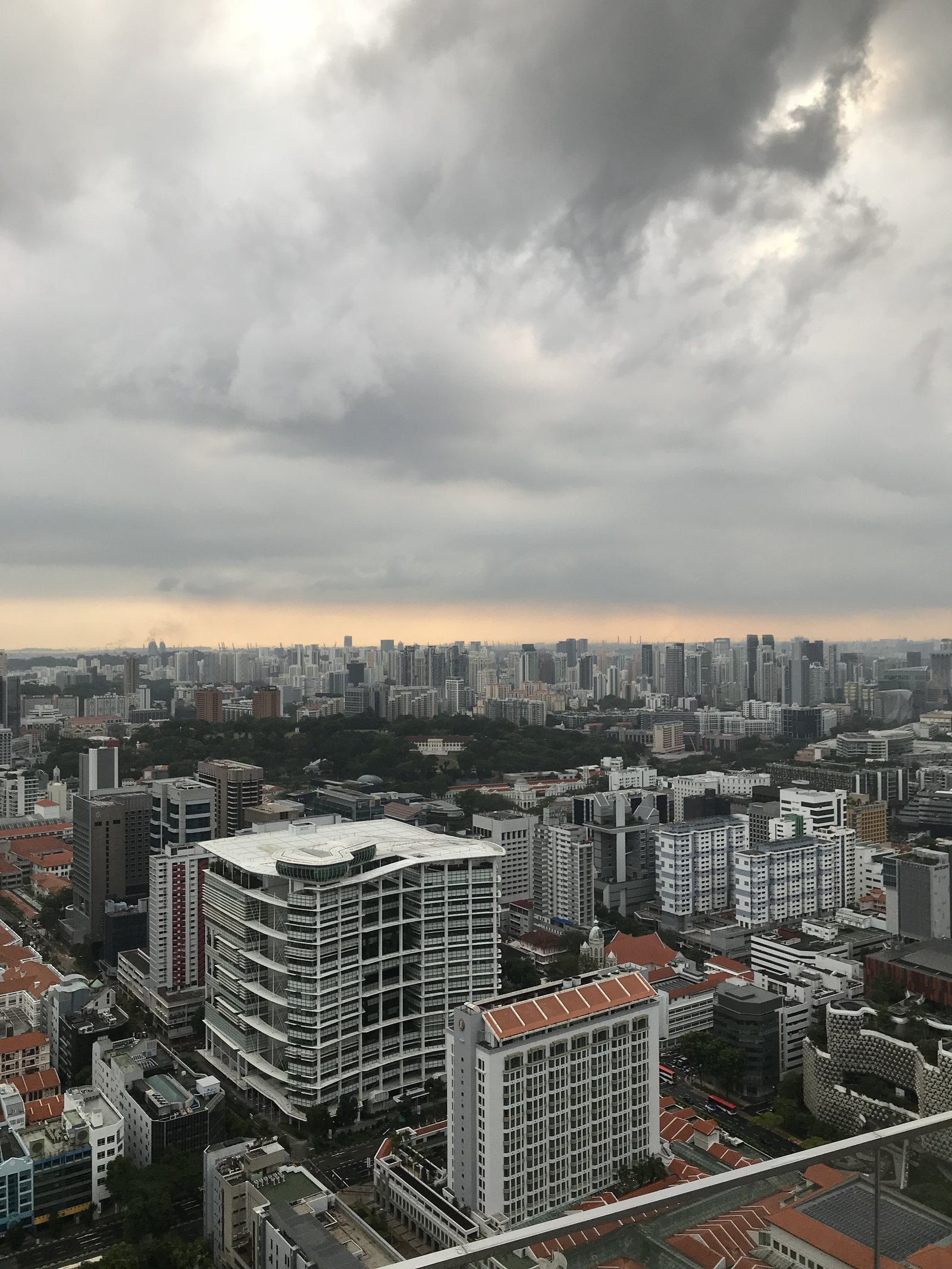 The city seen from high up, towers and low buildings under a heavy sky