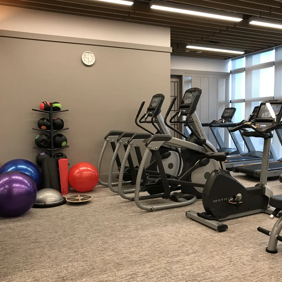 A gym with treadmills, bikes and weight balls in front of a glass wall
