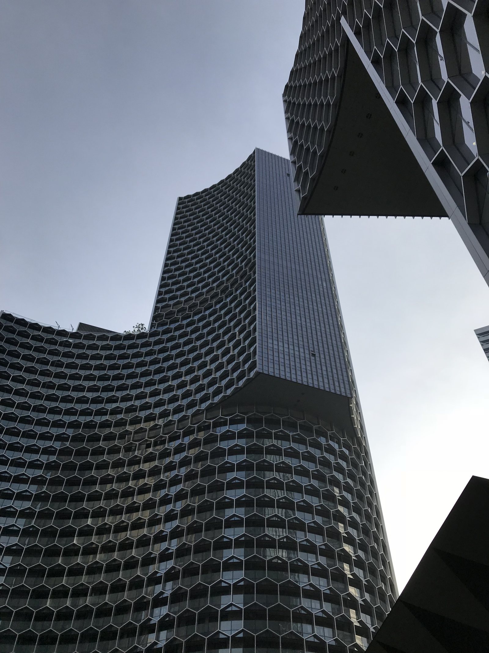 The honeycomb towers seen from below, the panels folding outwards against the sky