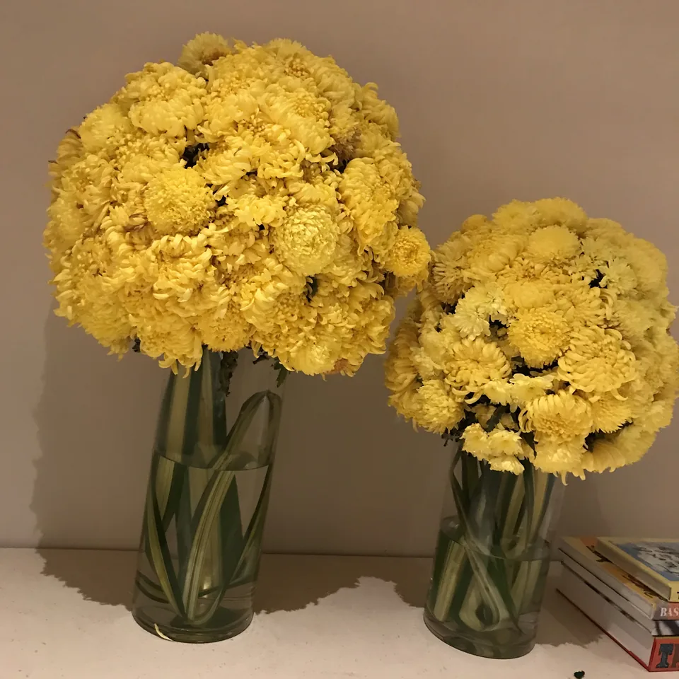Two vases of densely packed yellow carnations against a pale wall