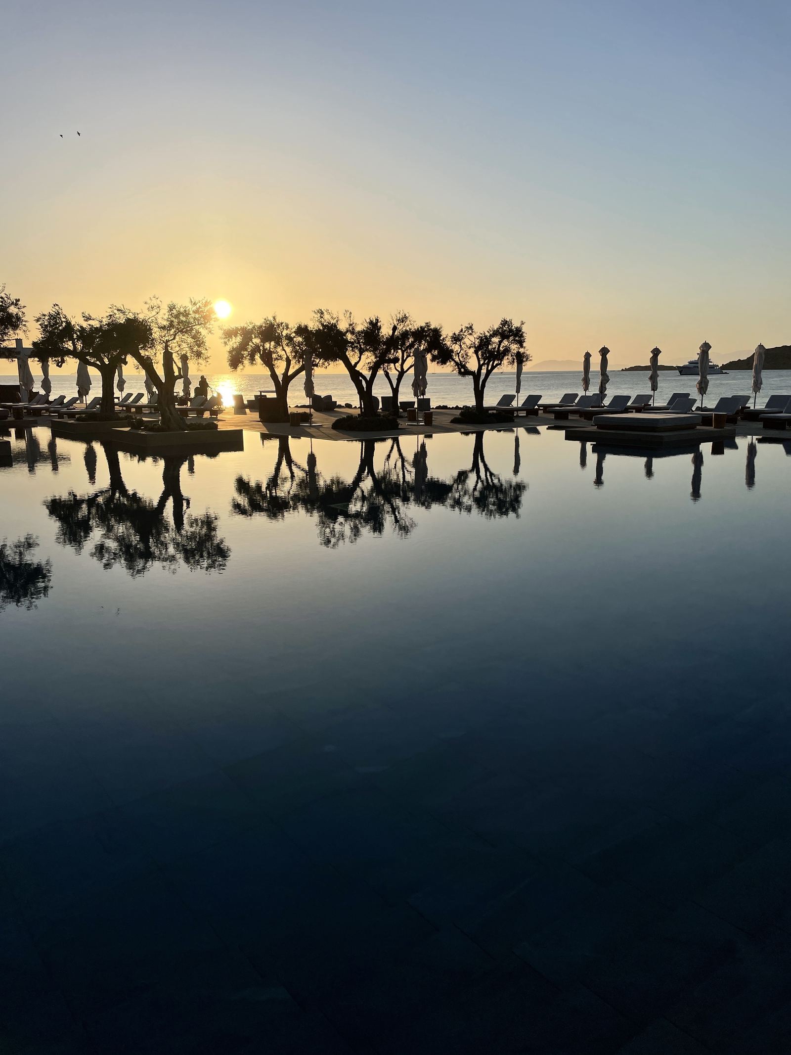 The infinity pool at sunset, olive trees reflected in still water