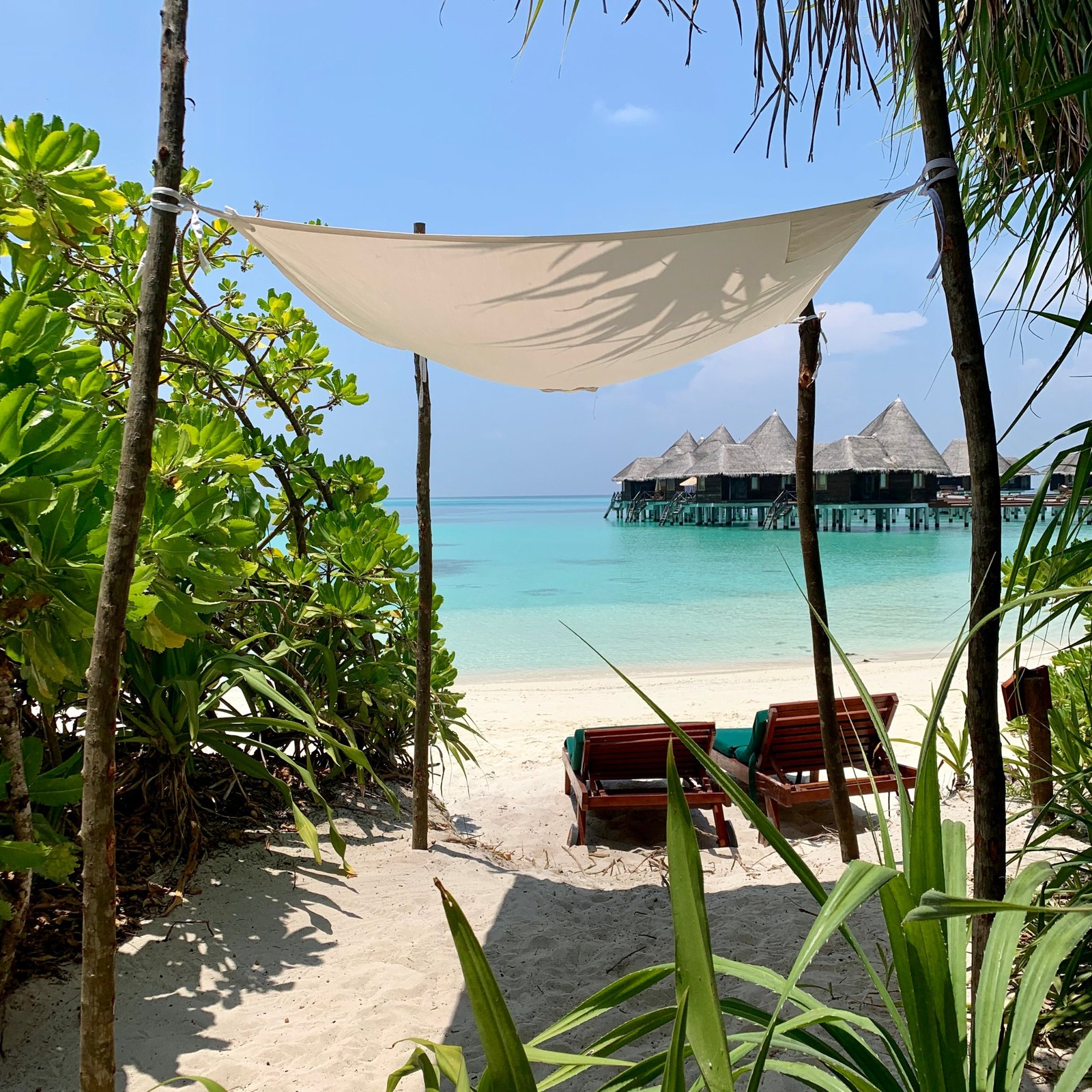 A square of white canvas tied to four rough timber poles over two loungers on the white sand at Coco Palm Dhuni Kolhu, seen from a sandy path through the vegetation, the thatched overwater villas standing across the turquoise lagoon beyond