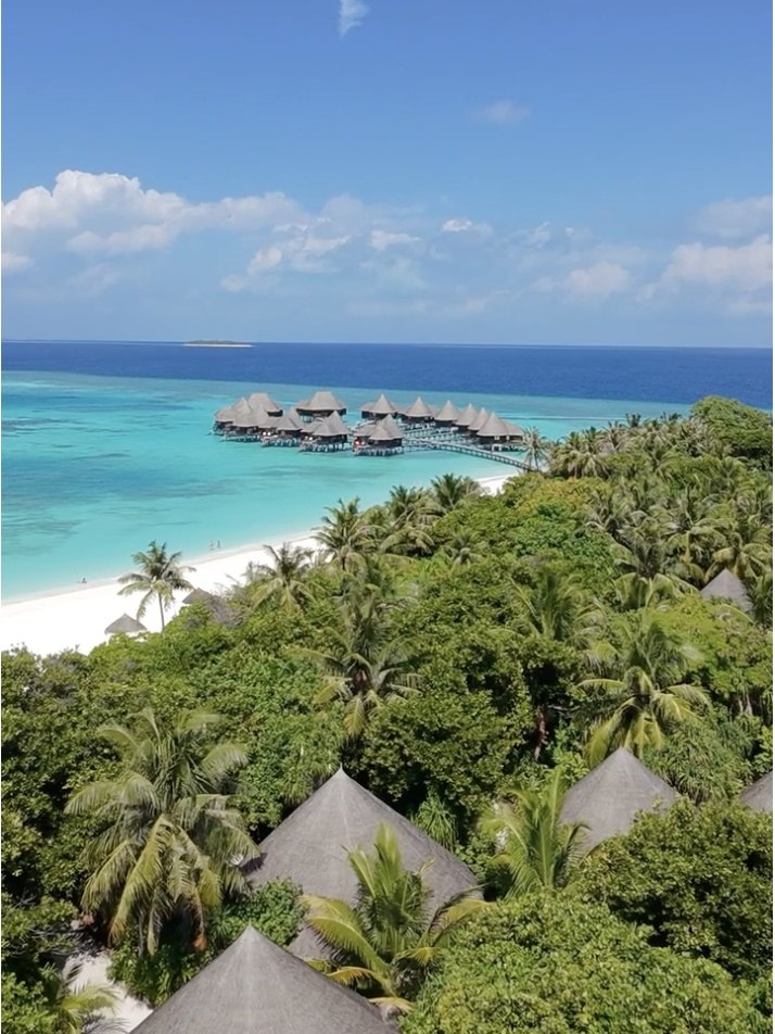 An aerial view at Coco Palm Dhuni Kolhu looking across the palm canopy, thatched villa roofs showing through the trees in the foreground, the white beach and the overwater villas beyond
