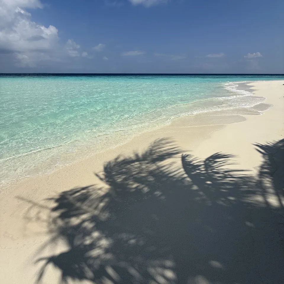 The shadow of a palm crown thrown across white sand at the edge of the lagoon, the water pale green beyond it