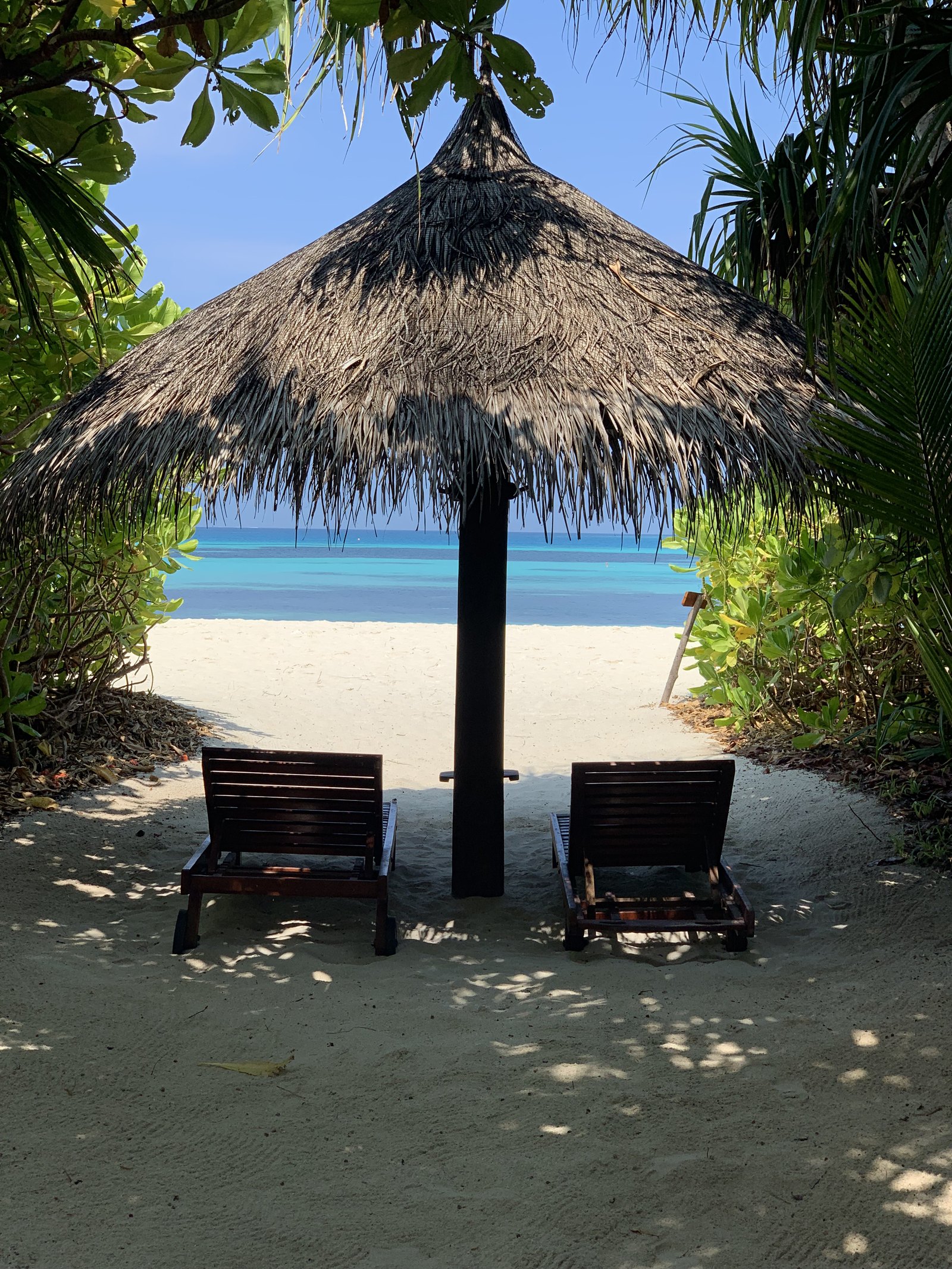 Two timber beach chairs under a round thatched parasol on white sand at Coco Palm Dhuni Kolhu, the lagoon beyond