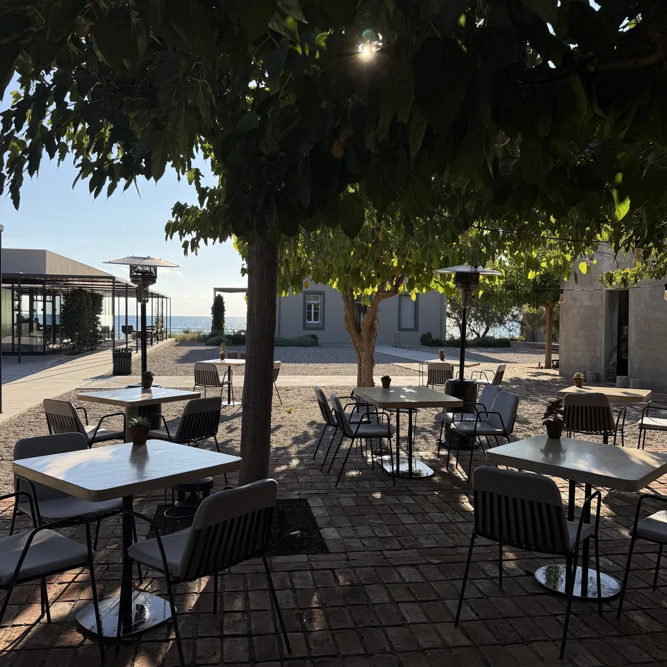 Tables set out under the mulberry trees at Dexamenes at night, a single lamp burning in the branches above them