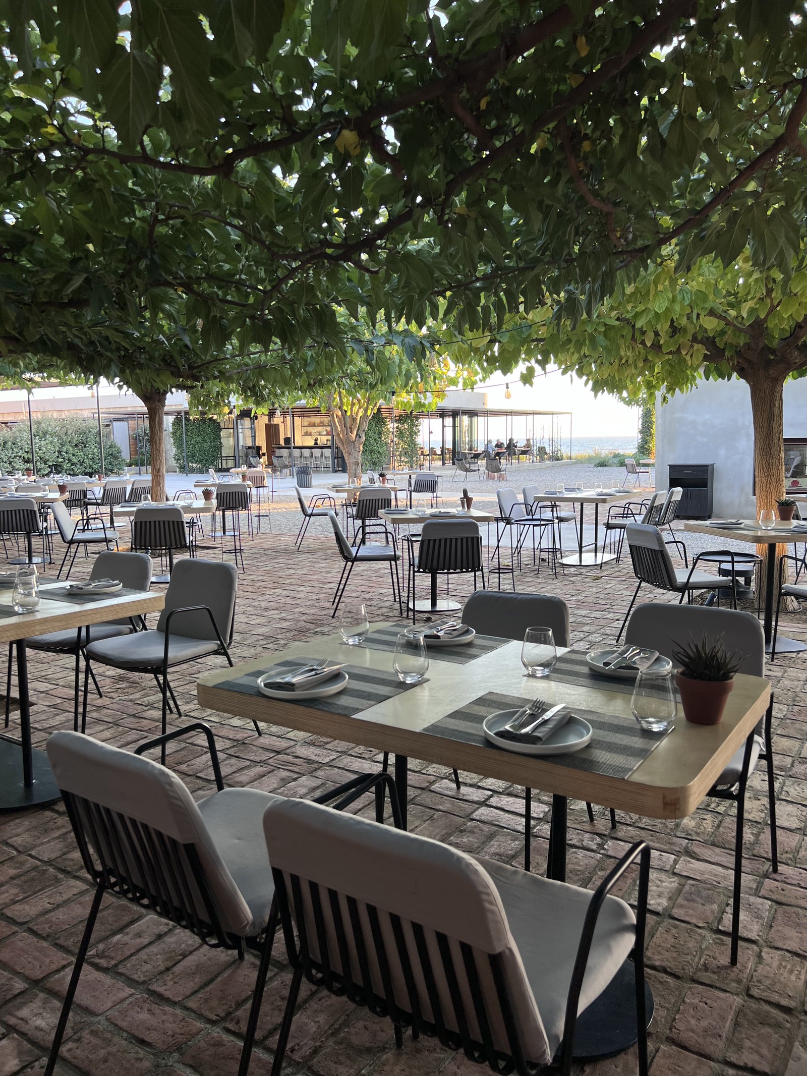Tables laid for dinner on a brick terrace at Dexamenes under the canopy of mulberry trees