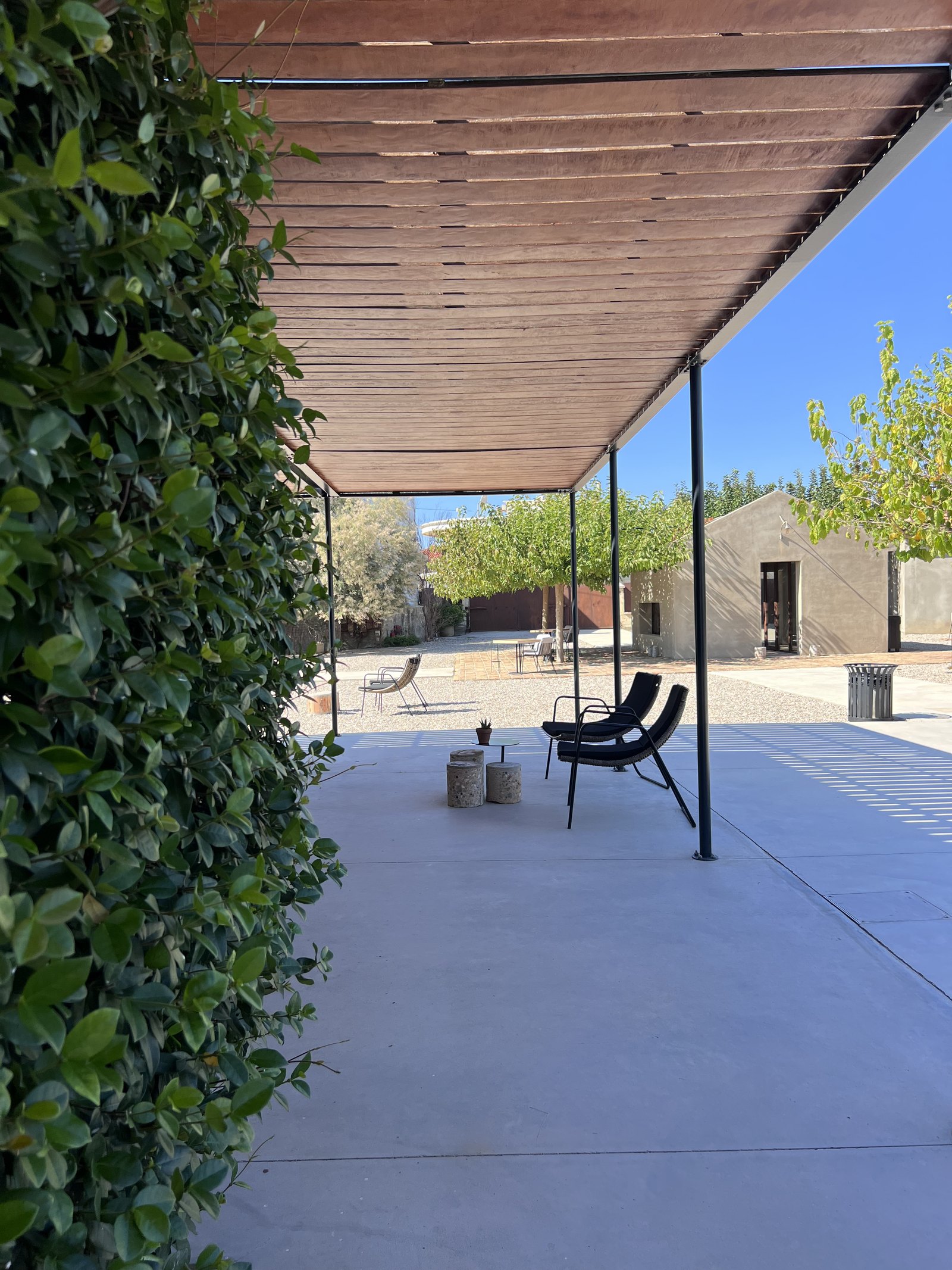 A covered concrete walkway at Dexamenes with a dense green vine wall along one side and a slatted timber roof overhead