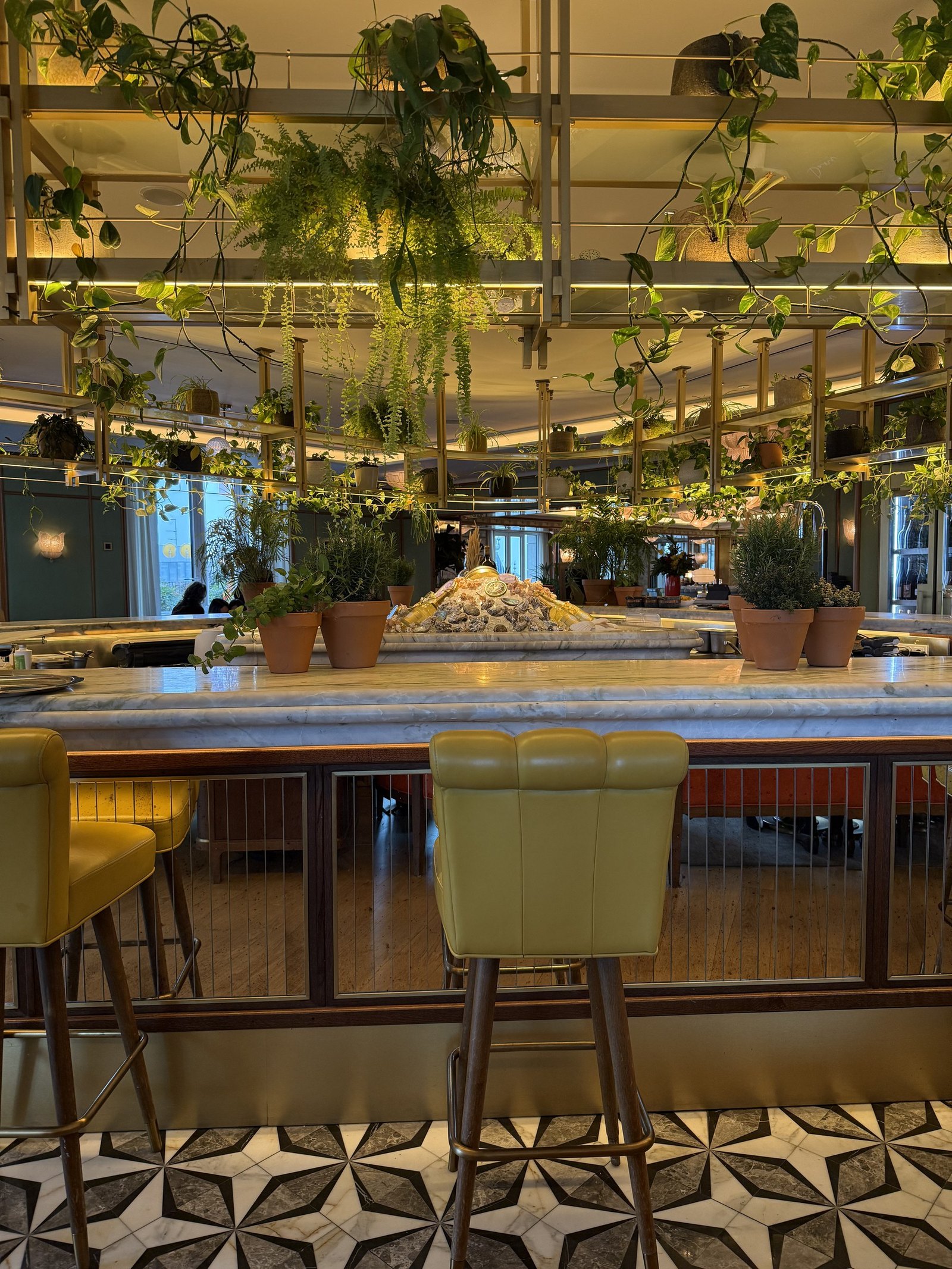 The interior of the rooftop brasserie with hanging plants and a mirrored ceiling