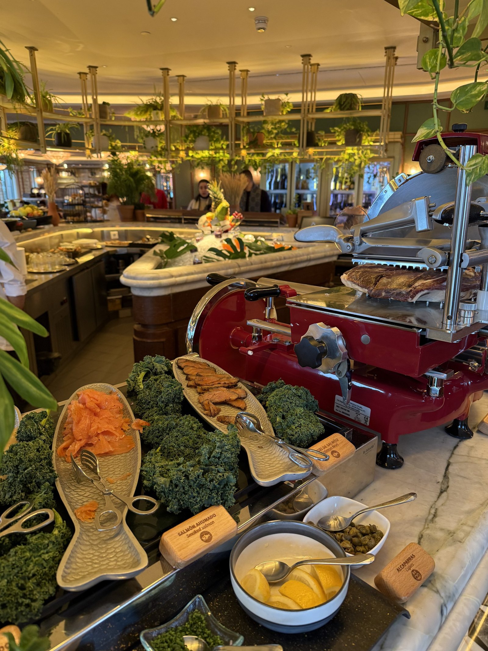 The breakfast counter with a red slicer, smoked salmon and vegetables