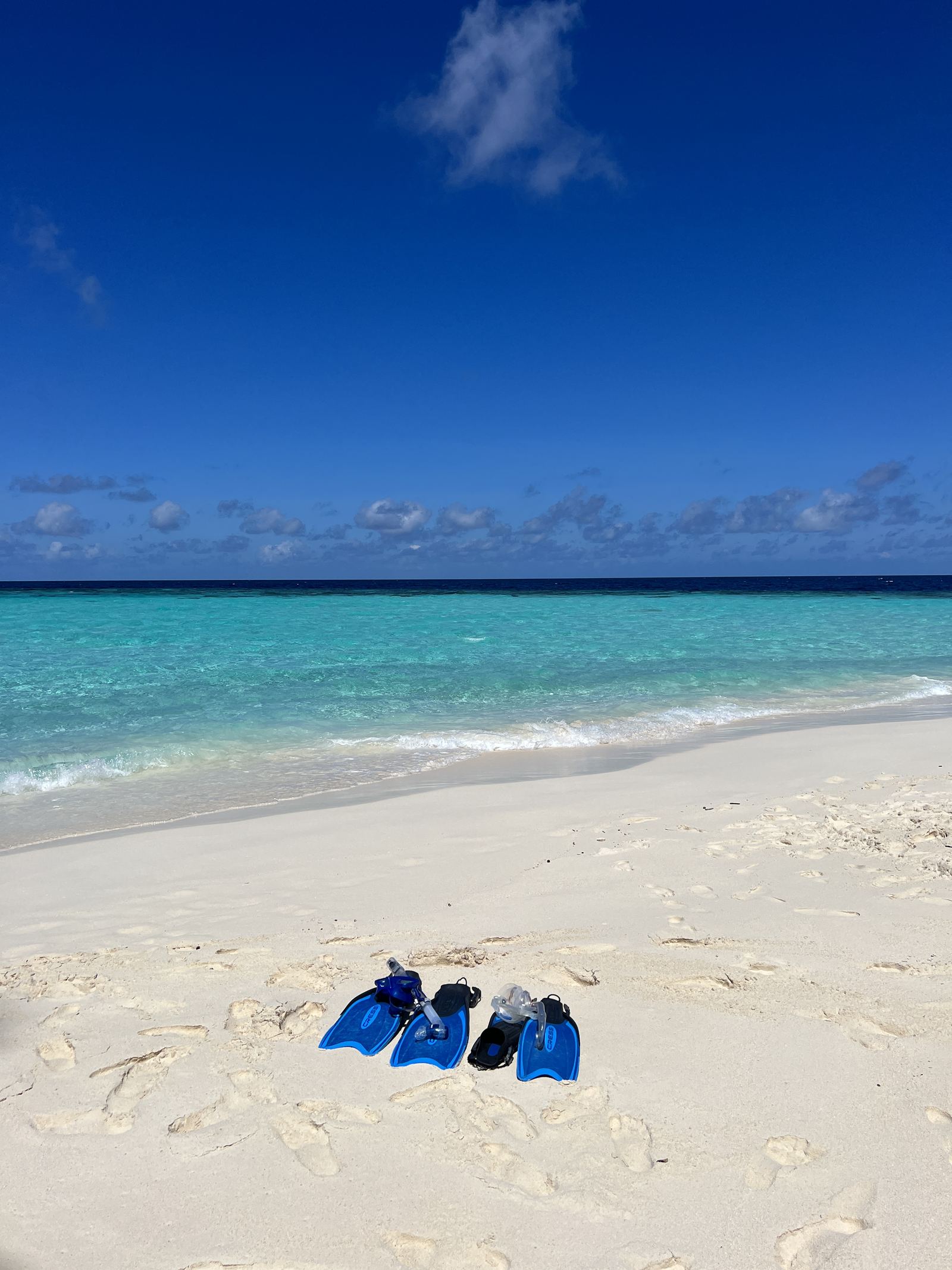 A pair of fins left on the sand at the water's edge