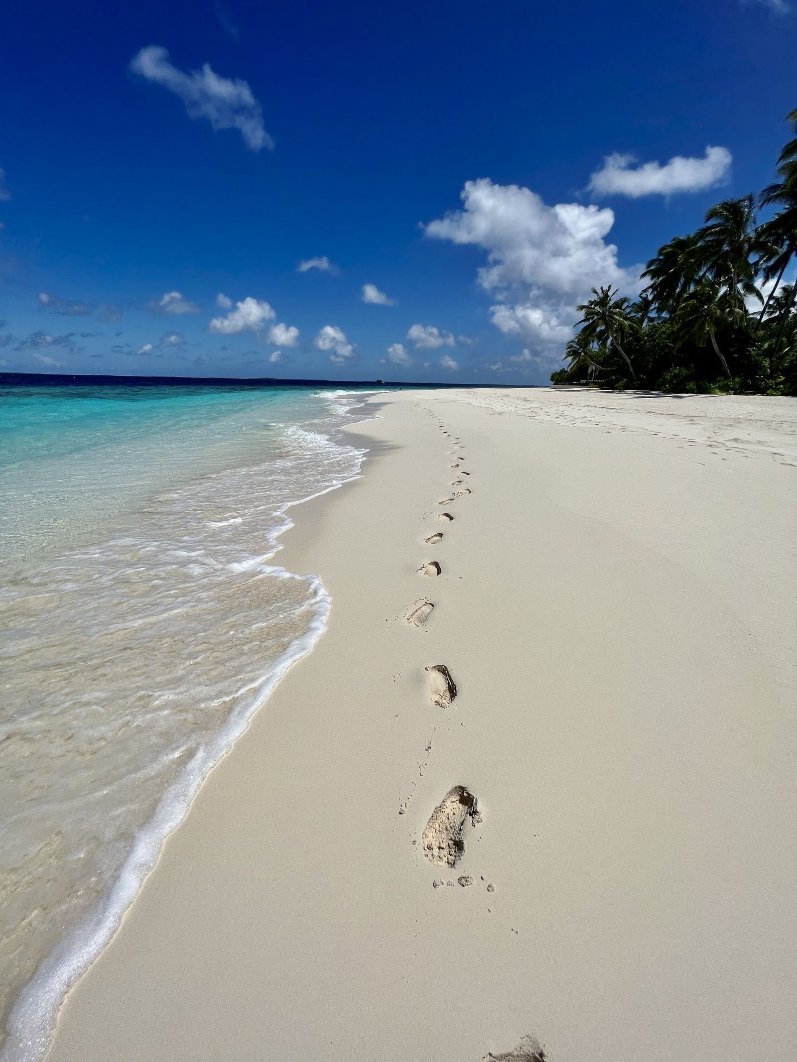 A line of footprints along the waterline on white sand