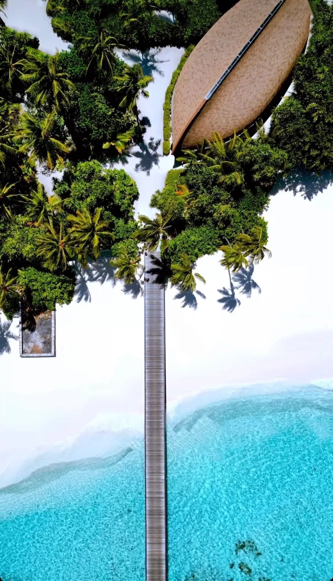 The jetty seen from directly above, running from the palms into the lagoon