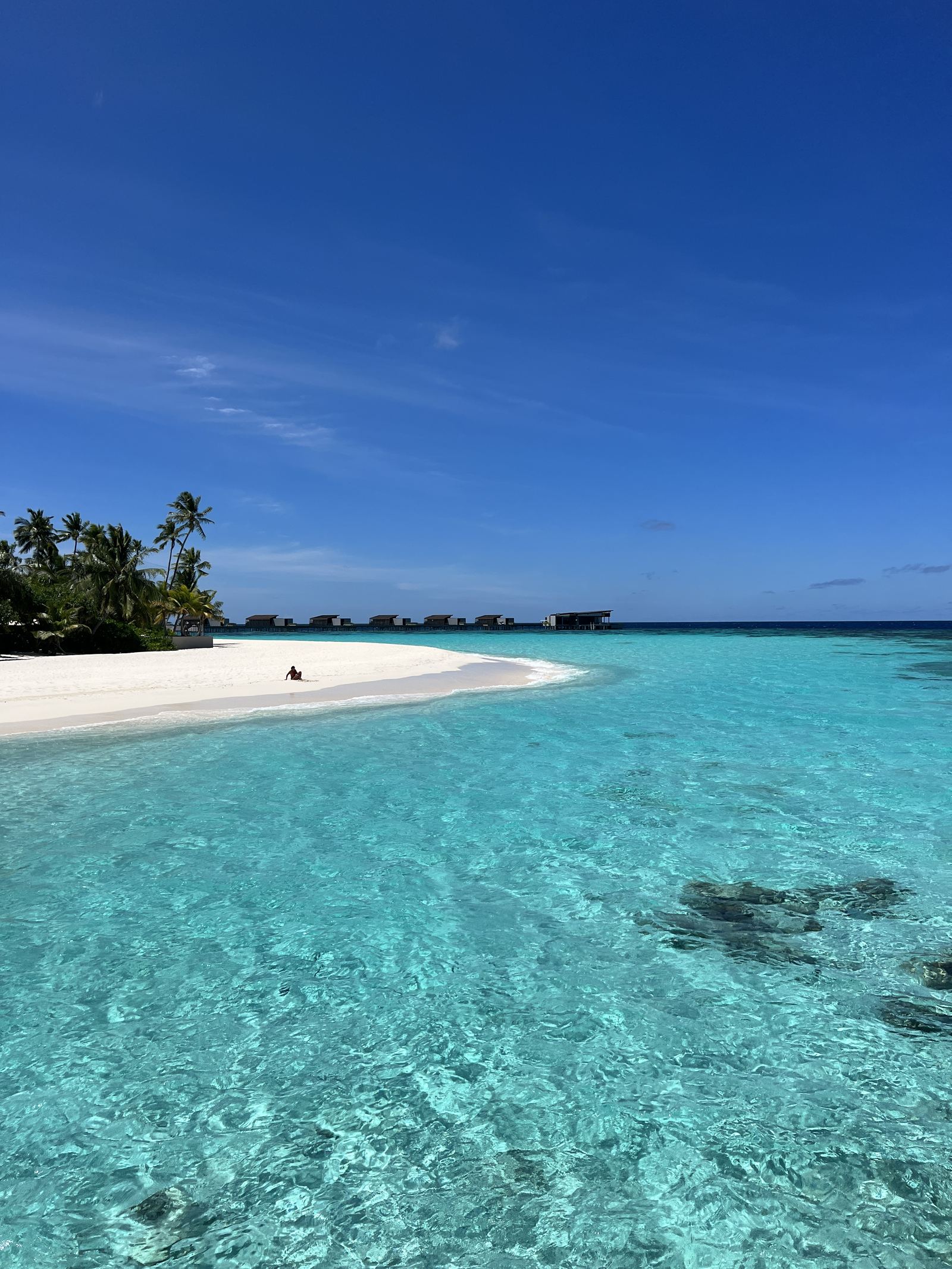 Clear shallow water over pale sand at the edge of the lagoon