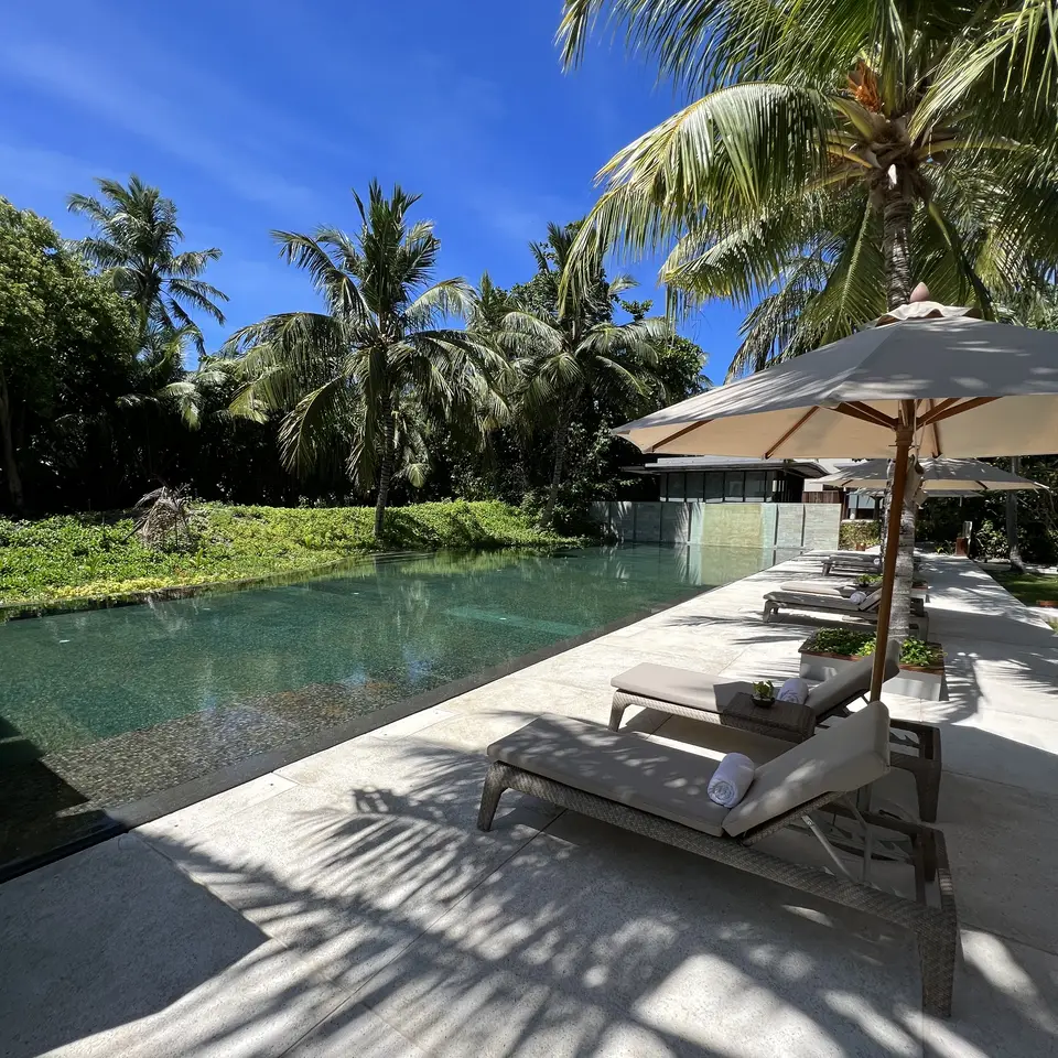 The main pool among the palms with loungers along its edge