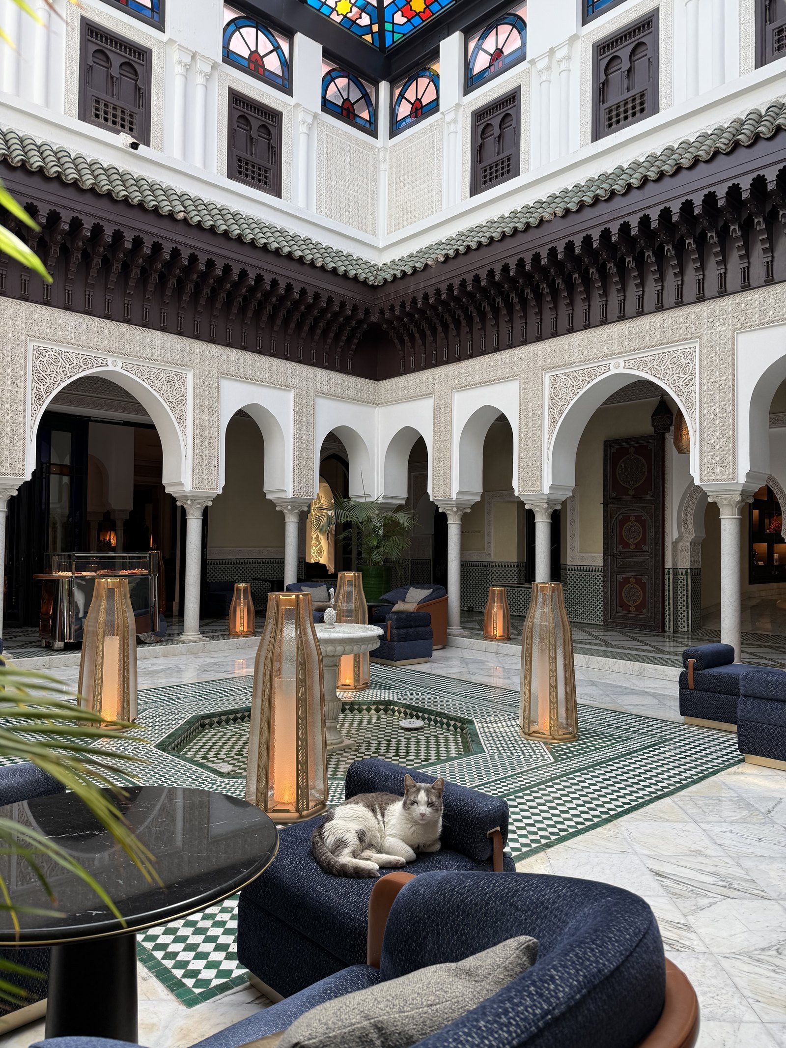 A cat asleep on a navy armchair in a courtyard with a green and white tiled floor