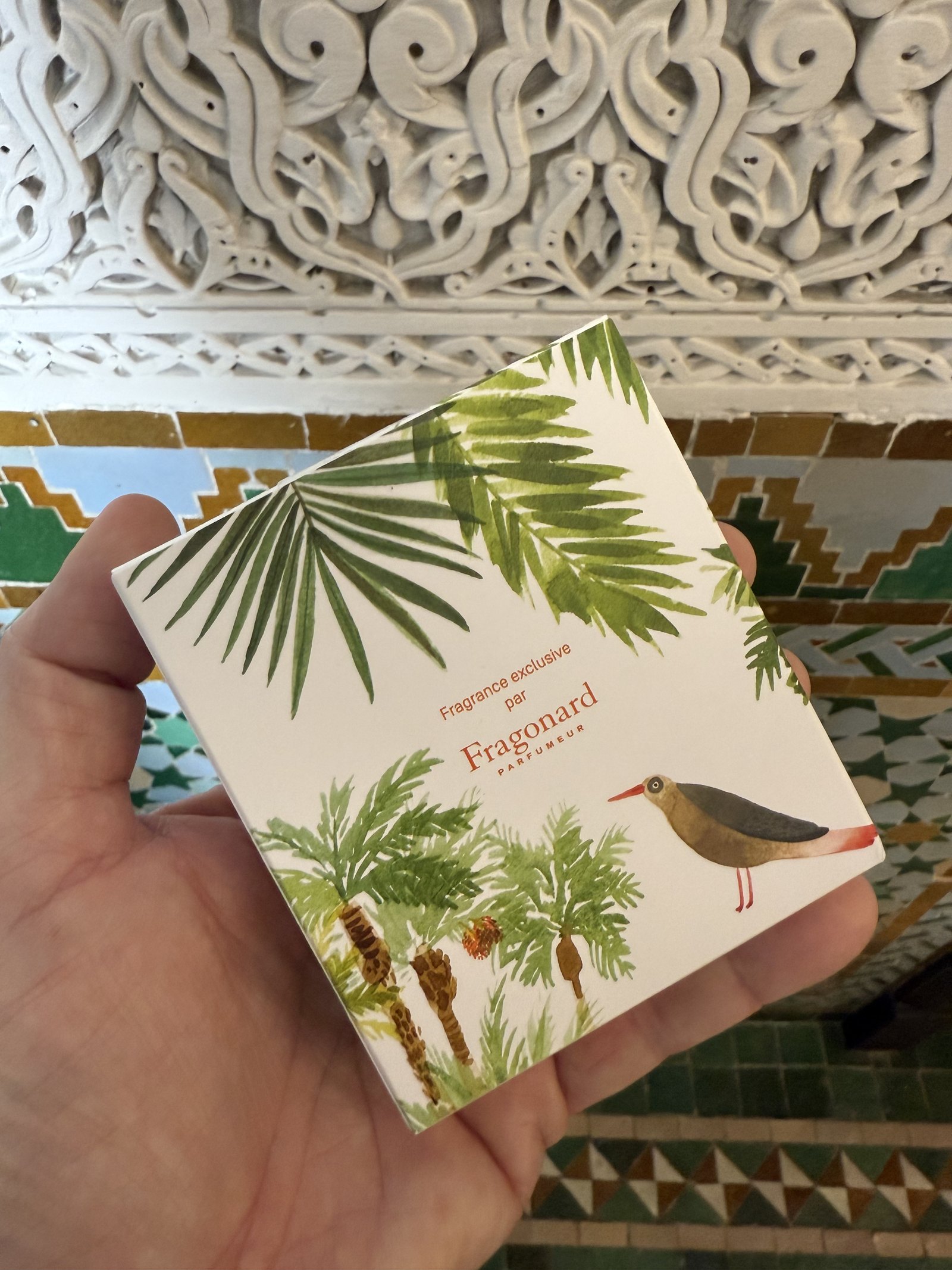 A card printed with palm trees and a wading bird, held in a hand against zellige tiles
