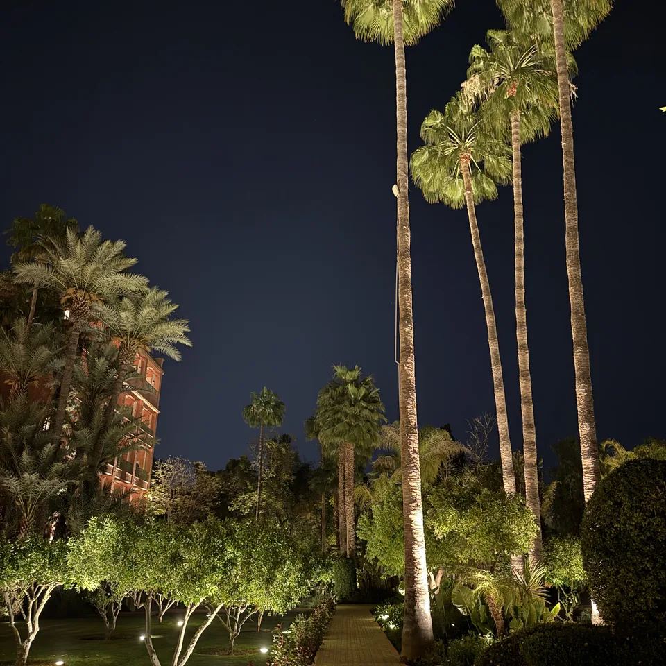 A lit path through the gardens at night, with tall palms and the hotel's pavilion at the edge