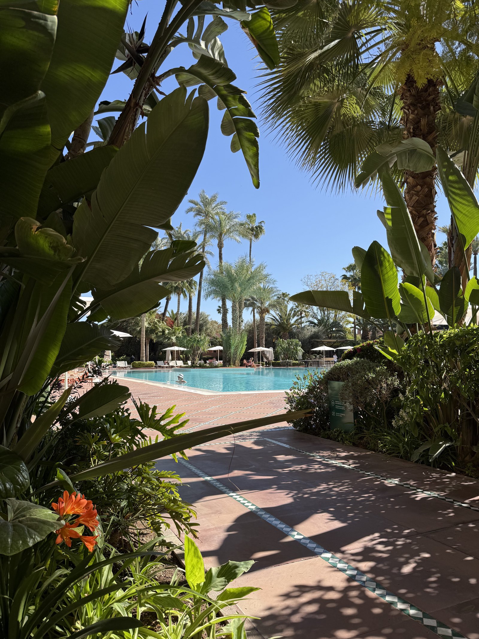 A tiled path beside a pool, with banana leaves and palms in front and sun loungers across the water