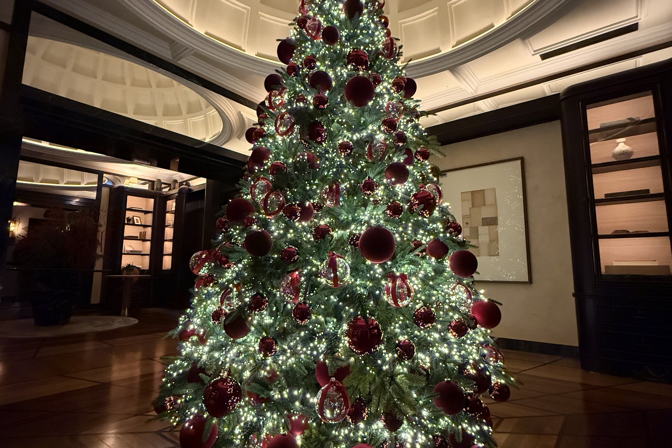 A Christmas tree lit under the coffered dome of the hall at La Minerva