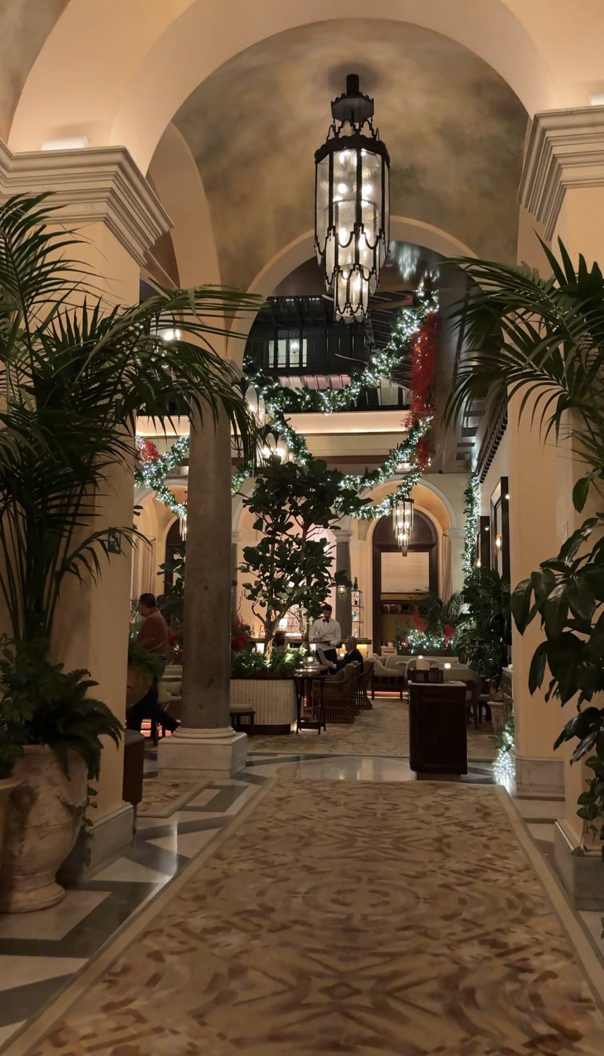 The entrance corridor with palms, a hanging lantern and a vaulted ceiling