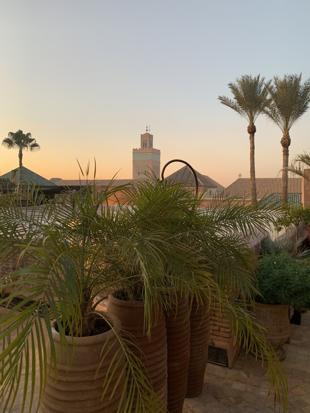 Palms and planted pots on the roof terrace at La Sultana against an orange sunset sky with the minaret in the distance