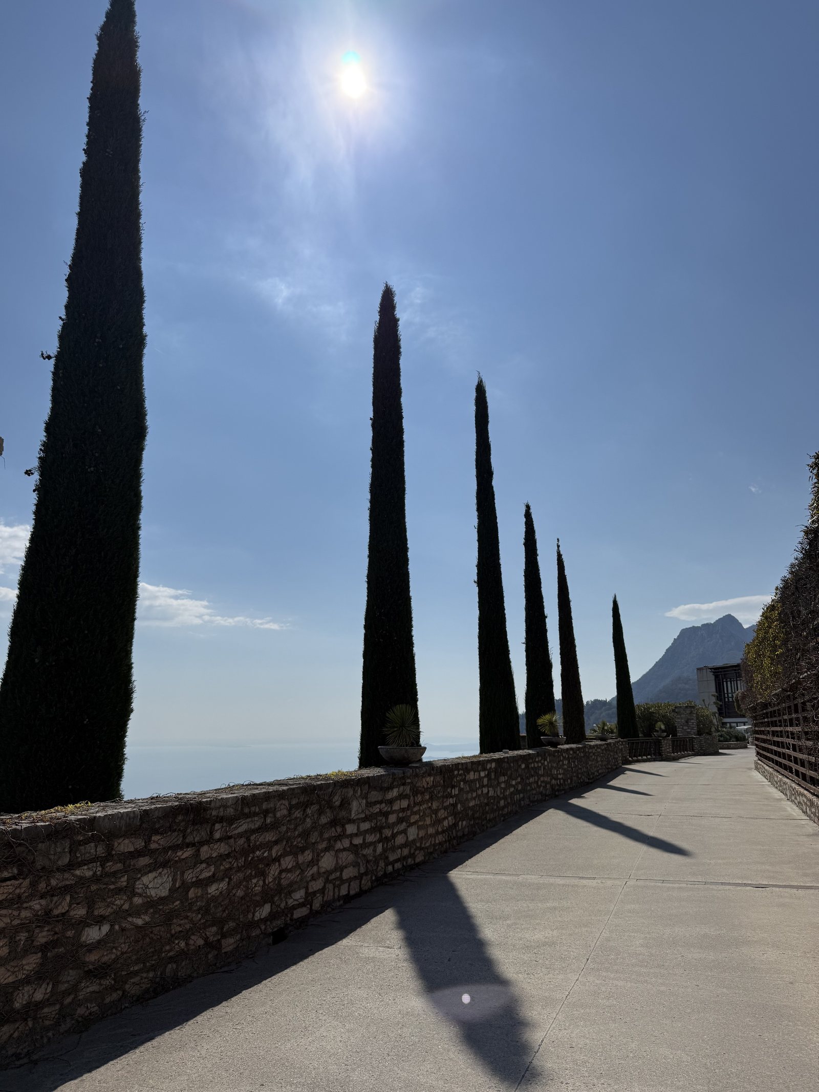 A paved walk beside a low stone wall, lined with tall cypresses, running towards the lake