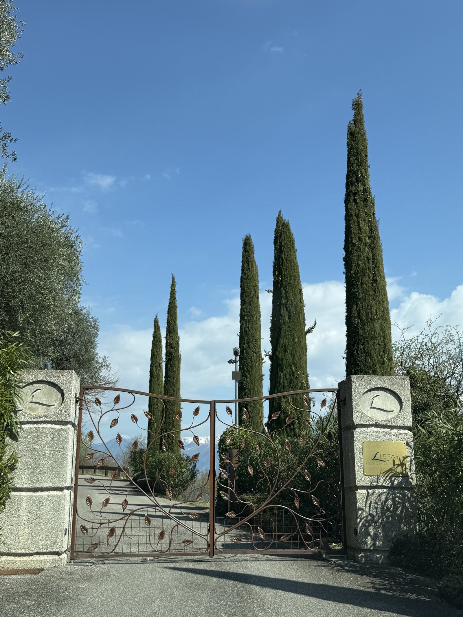A stone gateway with an ironwork gate, cypresses standing behind it against the sky