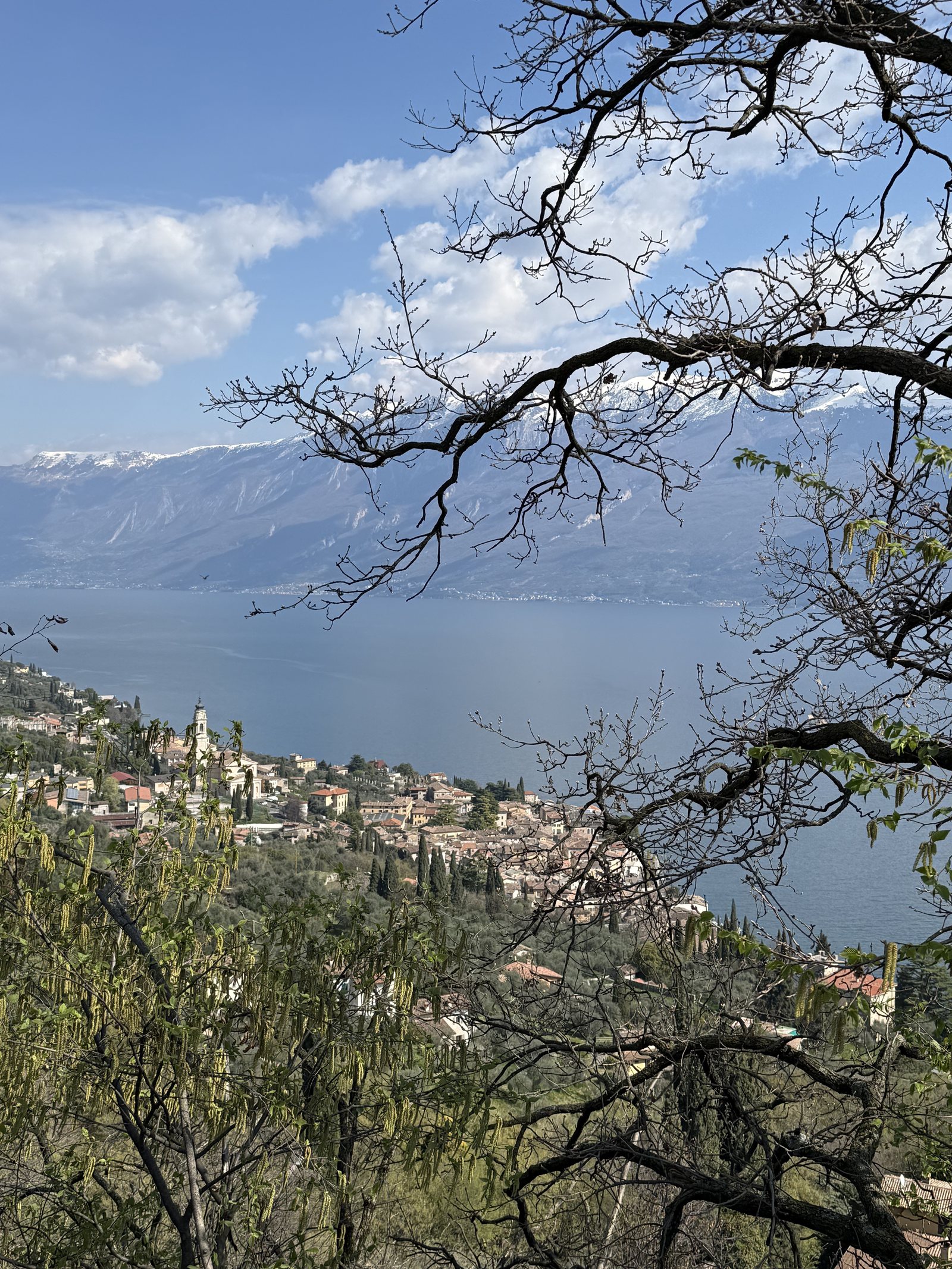 Lake Garda and the far shore seen through the bare branches of a tree, with a village below