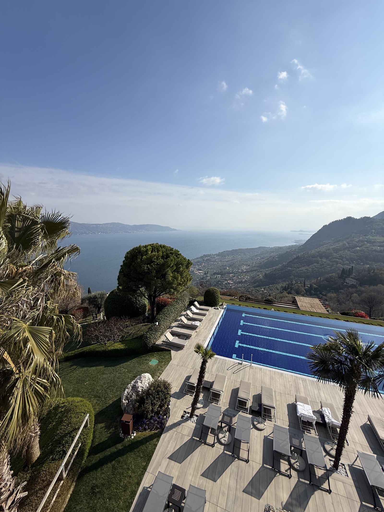 The pool, the lawns, the loungers and the palms, seen from the upper terrace