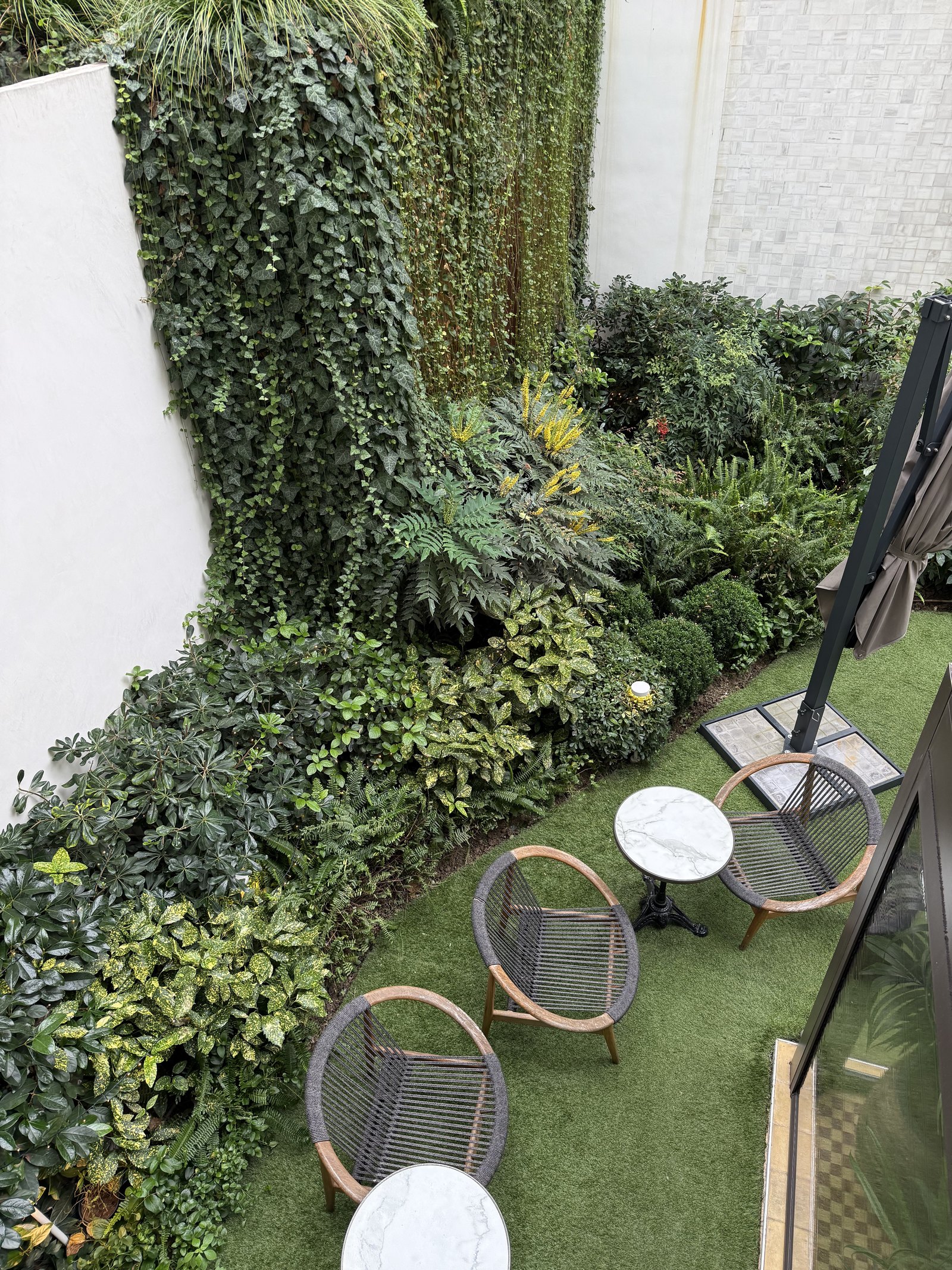 A courtyard wall covered in dense green planting, with cane chairs on grass below