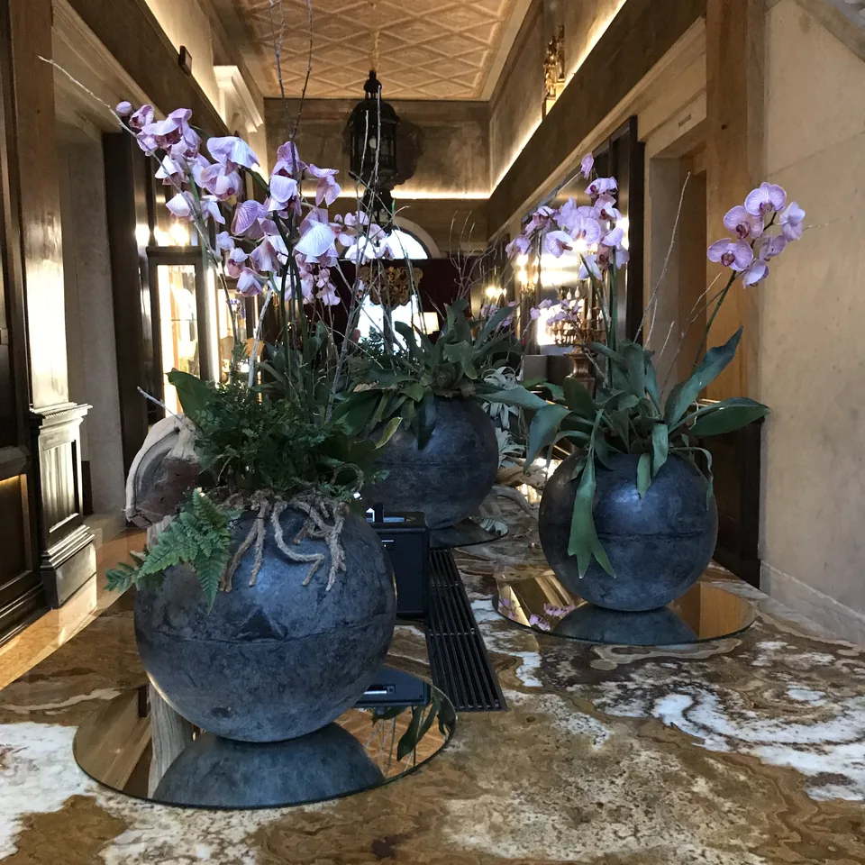 Two blue glazed pots of pale orchids on a round table in a panelled corridor