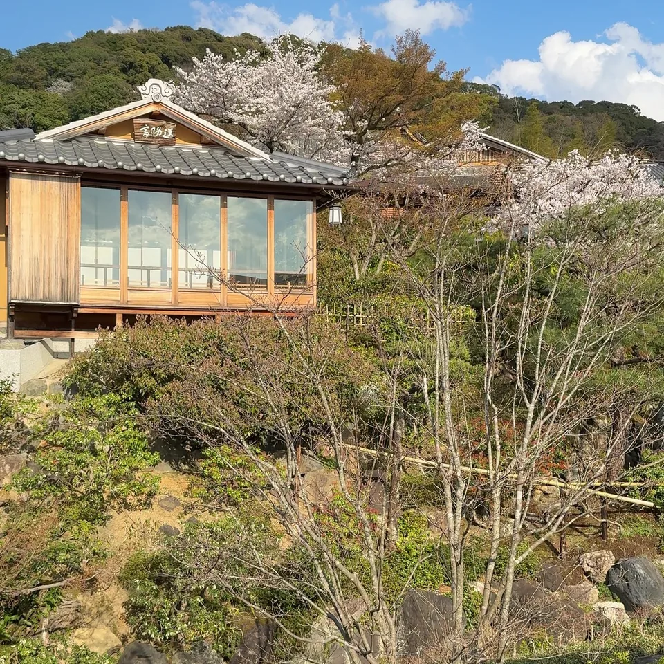 A lantern-lit timber teahouse on the hillside among cherry blossom