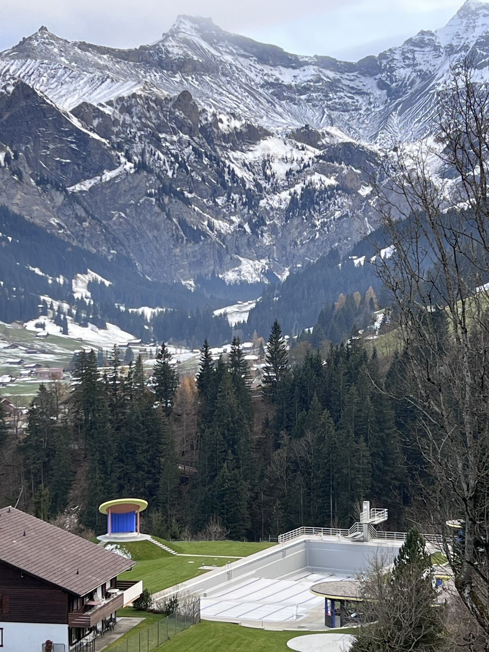 Snow on the peaks above Adelboden with pine forest and a green meadow below