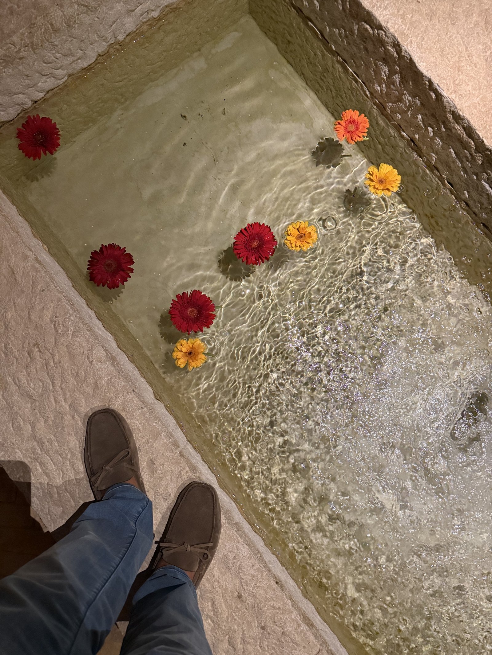 Looking down at a pair of worn leather shoes on the edge of a stone trough of running water at The Rooster, with red and orange flower heads floating in it