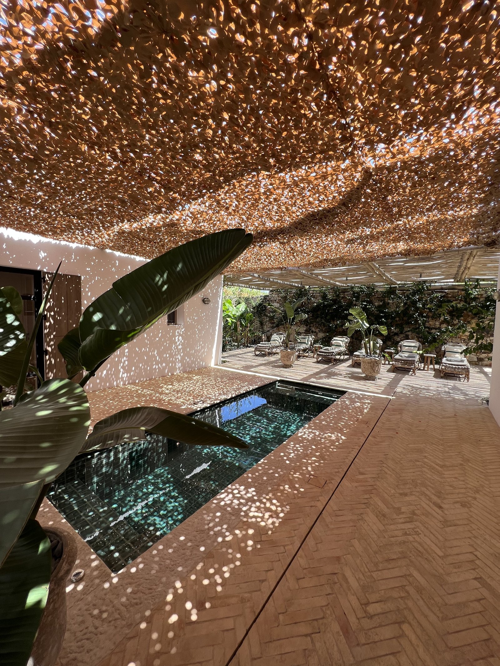 A long narrow pool at The Rooster in a terrace of terracotta herringbone brick, under a woven awning that scatters light, with banana plants at the edge