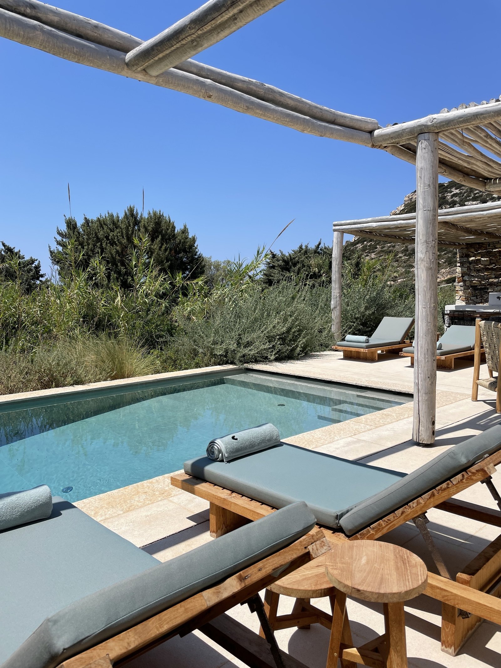A small rectangular pool on a stone terrace at The Rooster with a cushioned lounger beside it, bushes and a pergola of rough poles above