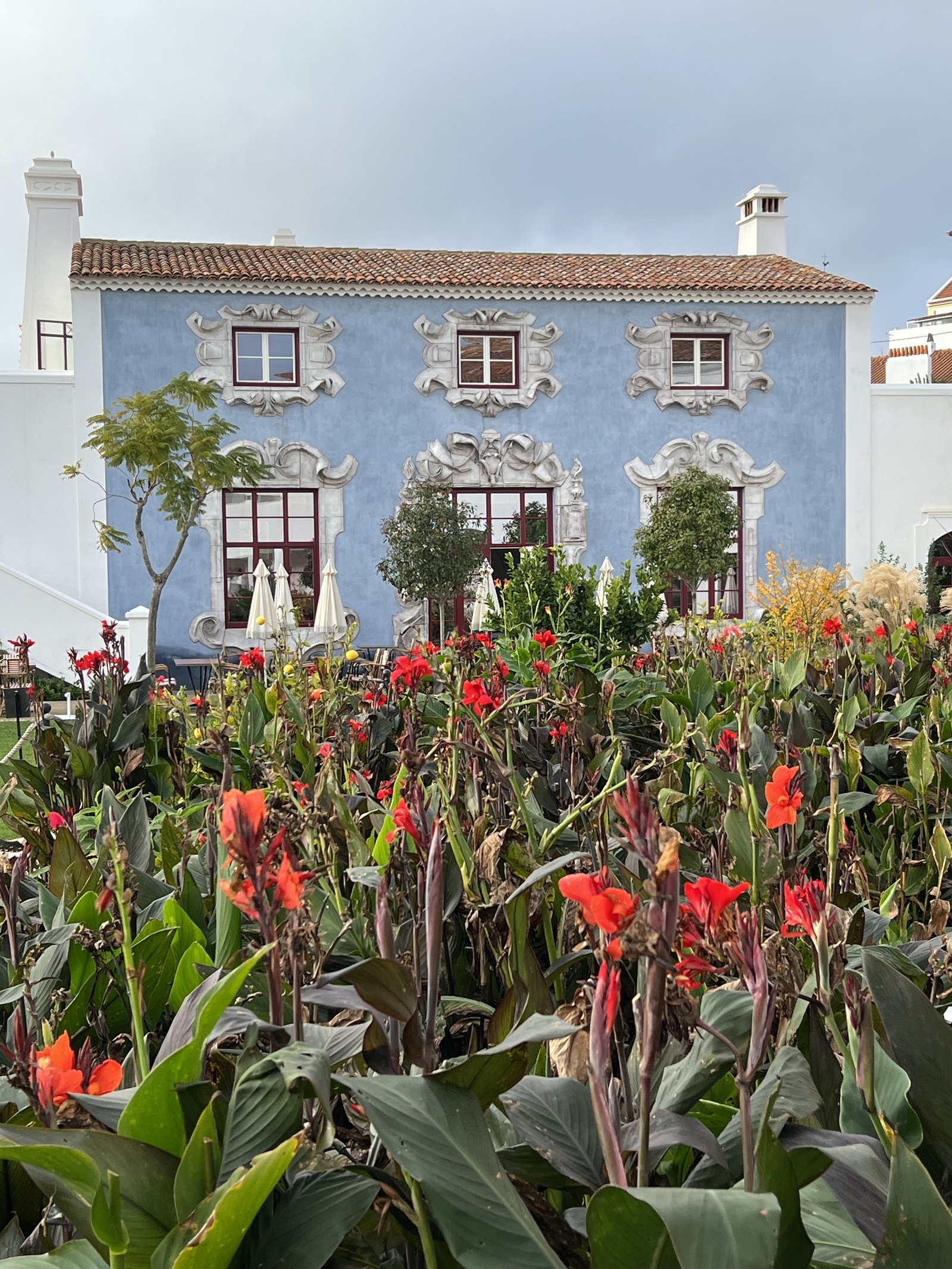 The facade of Vermelho seen over a bed of red canna lilies and a lemon tree in fruit