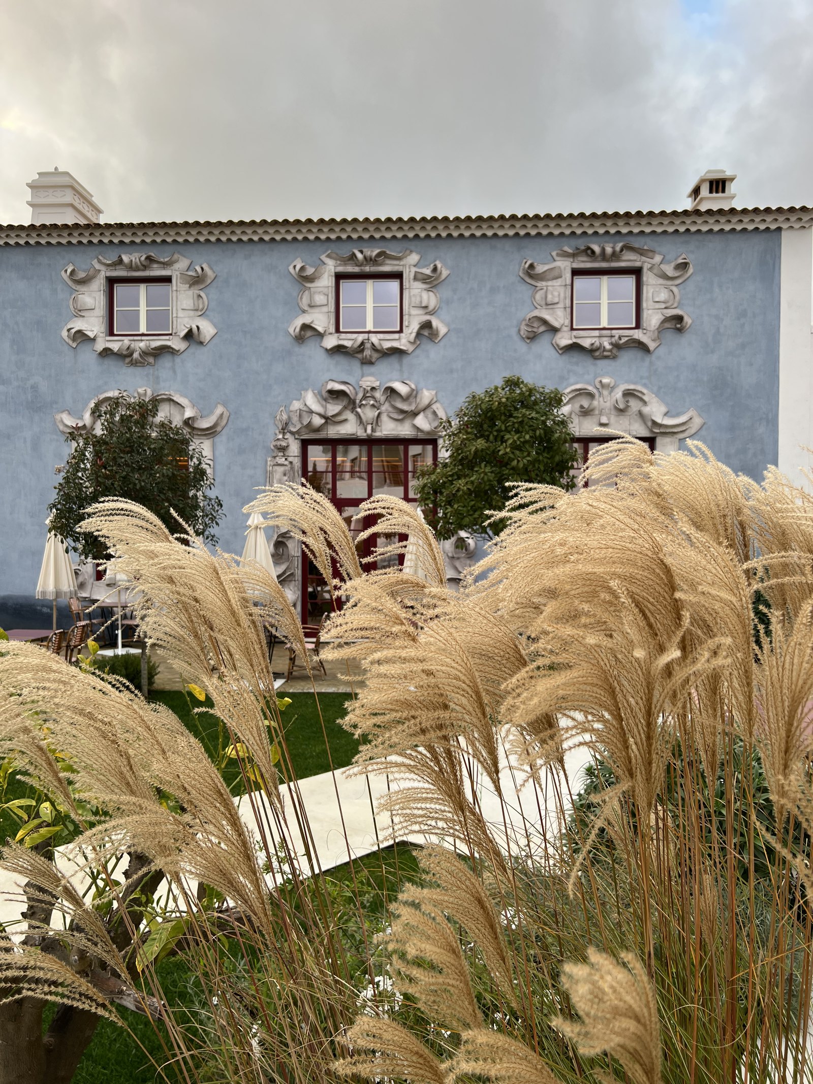 Plumes of pampas grass in front of the pale blue carved facade
