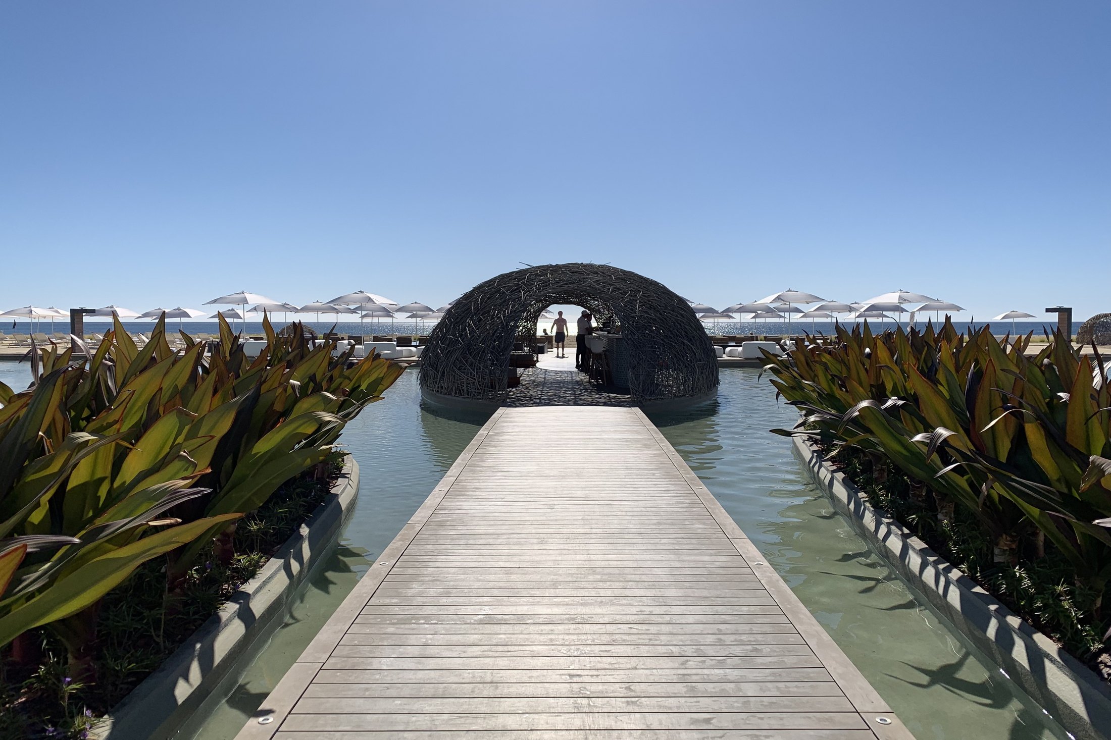 A timber boardwalk at Viceroy Los Cabos running between two strips of still black water planted with agave, towards the woven dome of the restaurant at the far end