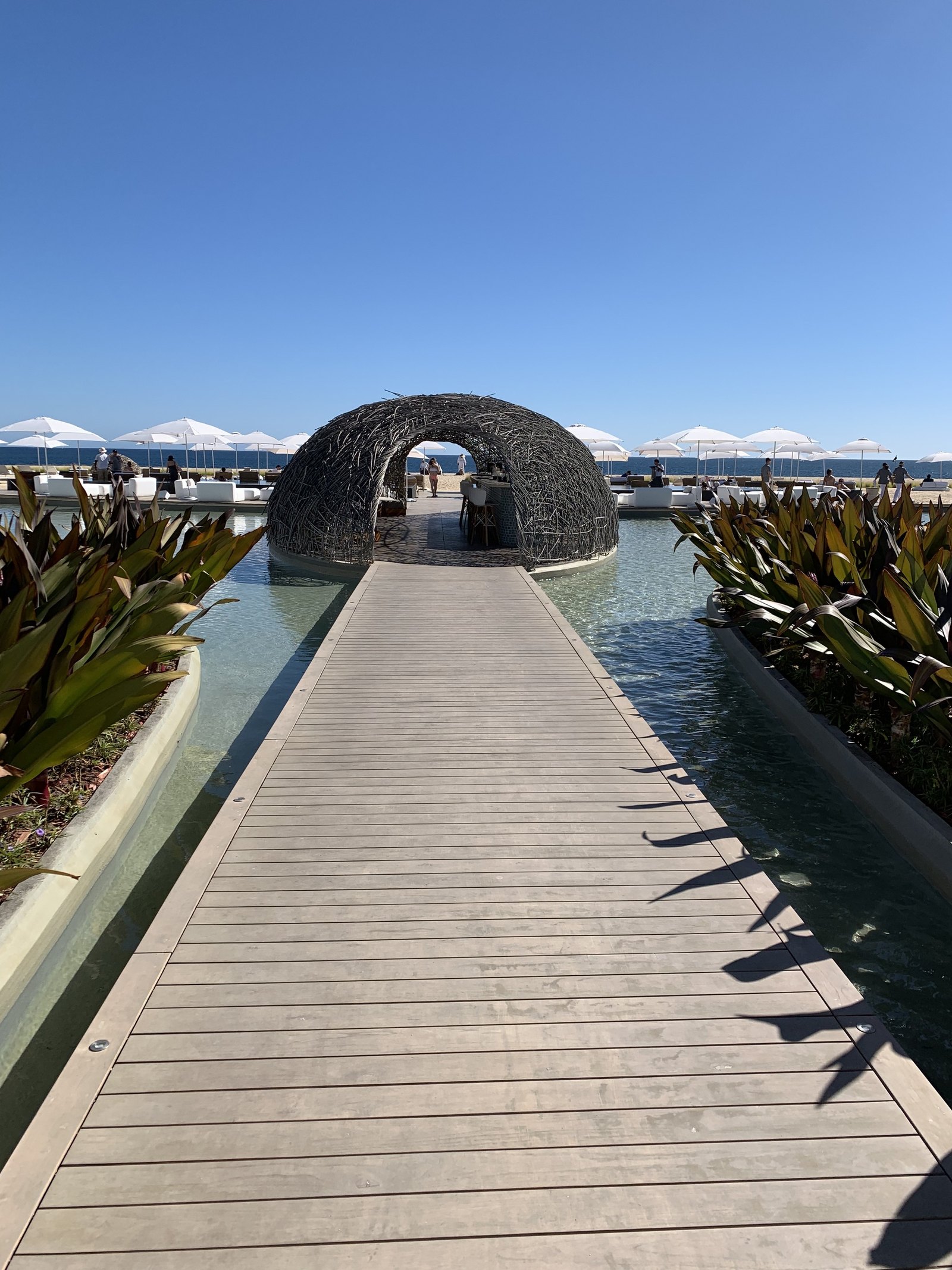 The timber boardwalk at Viceroy Los Cabos leading out between planted beds to the woven dome, under a clear blue sky