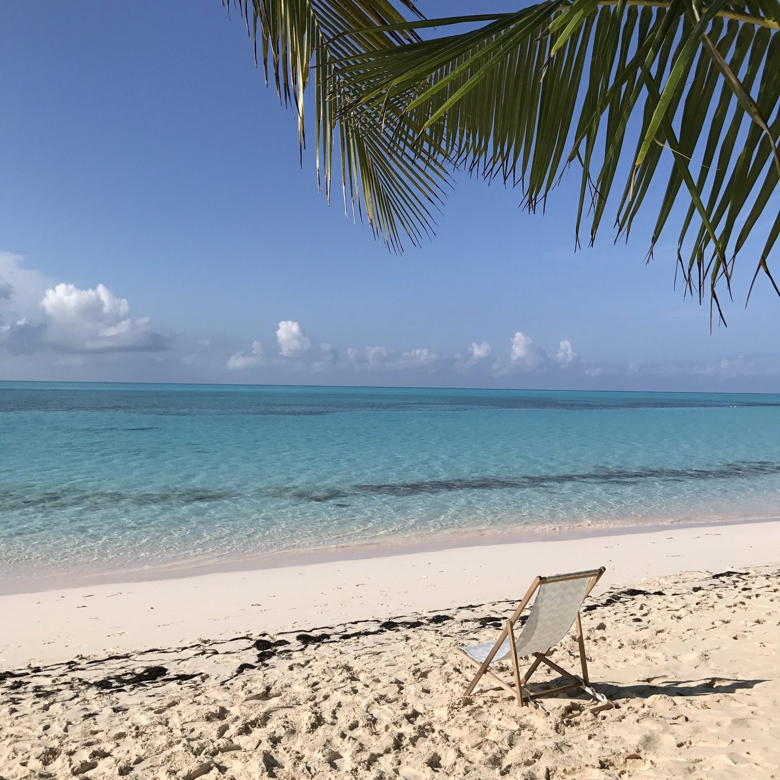 A single deckchair on an empty beach under a palm frond
