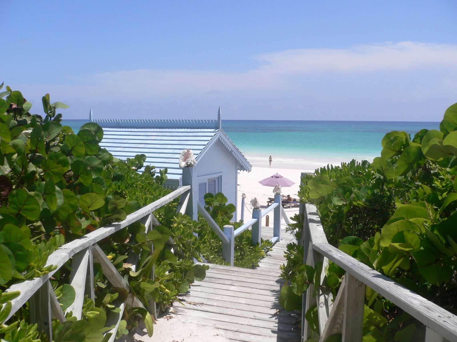 A timber boardwalk running down through sea grape to a pale blue beach house and the water beyond