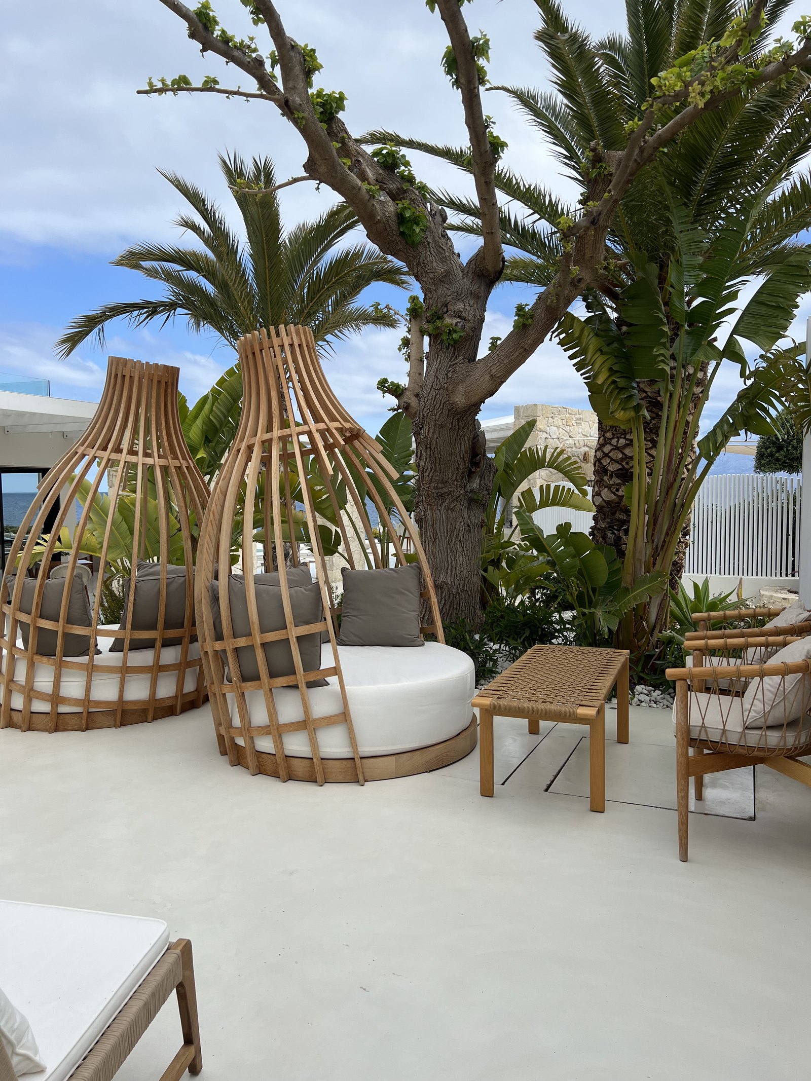 Two tall cane cocoon daybeds with cushions standing under palms and an old spreading tree, with a timber table and chairs beside them