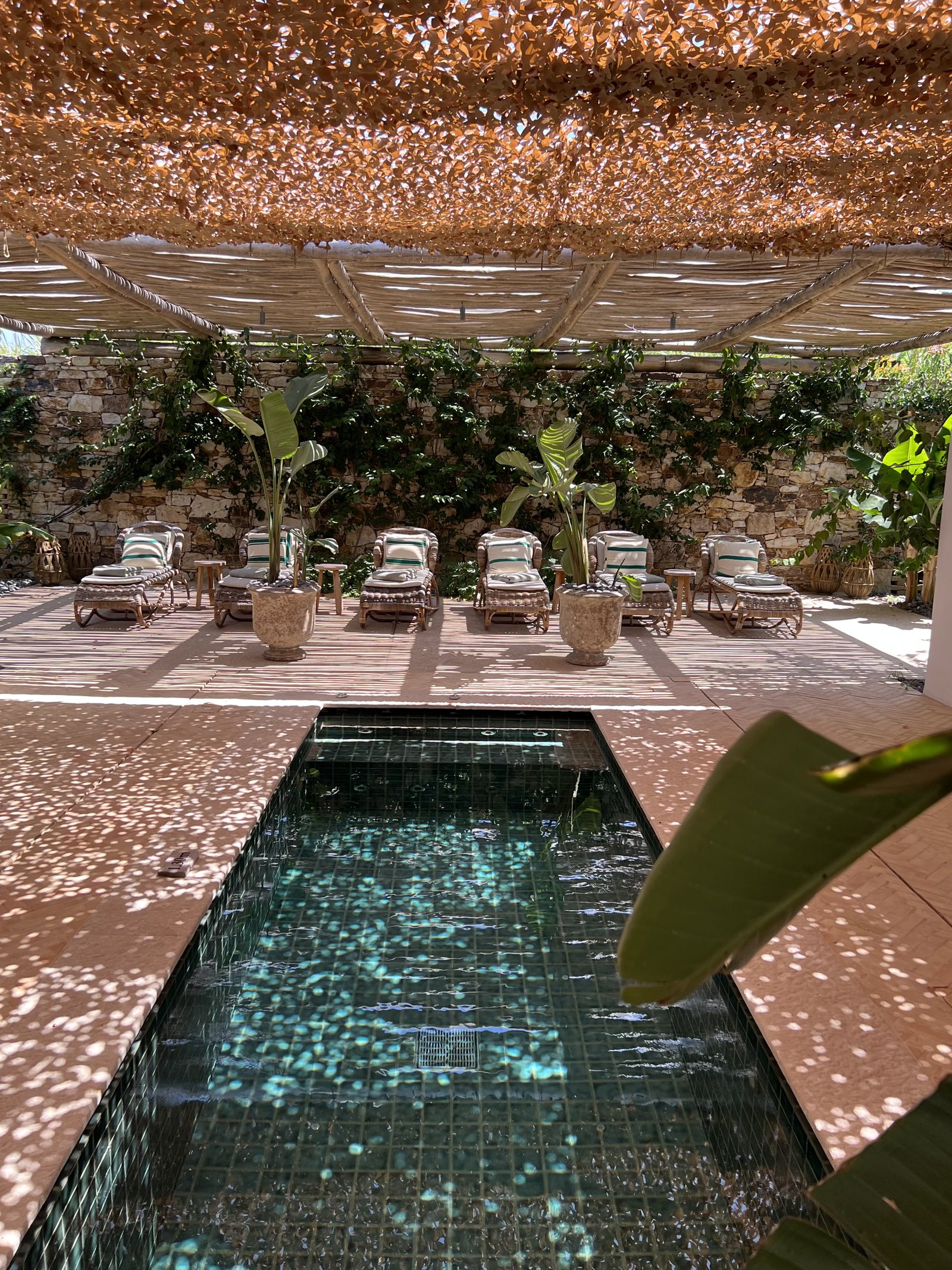 A narrow pool under a woven canopy, with loungers along the wall