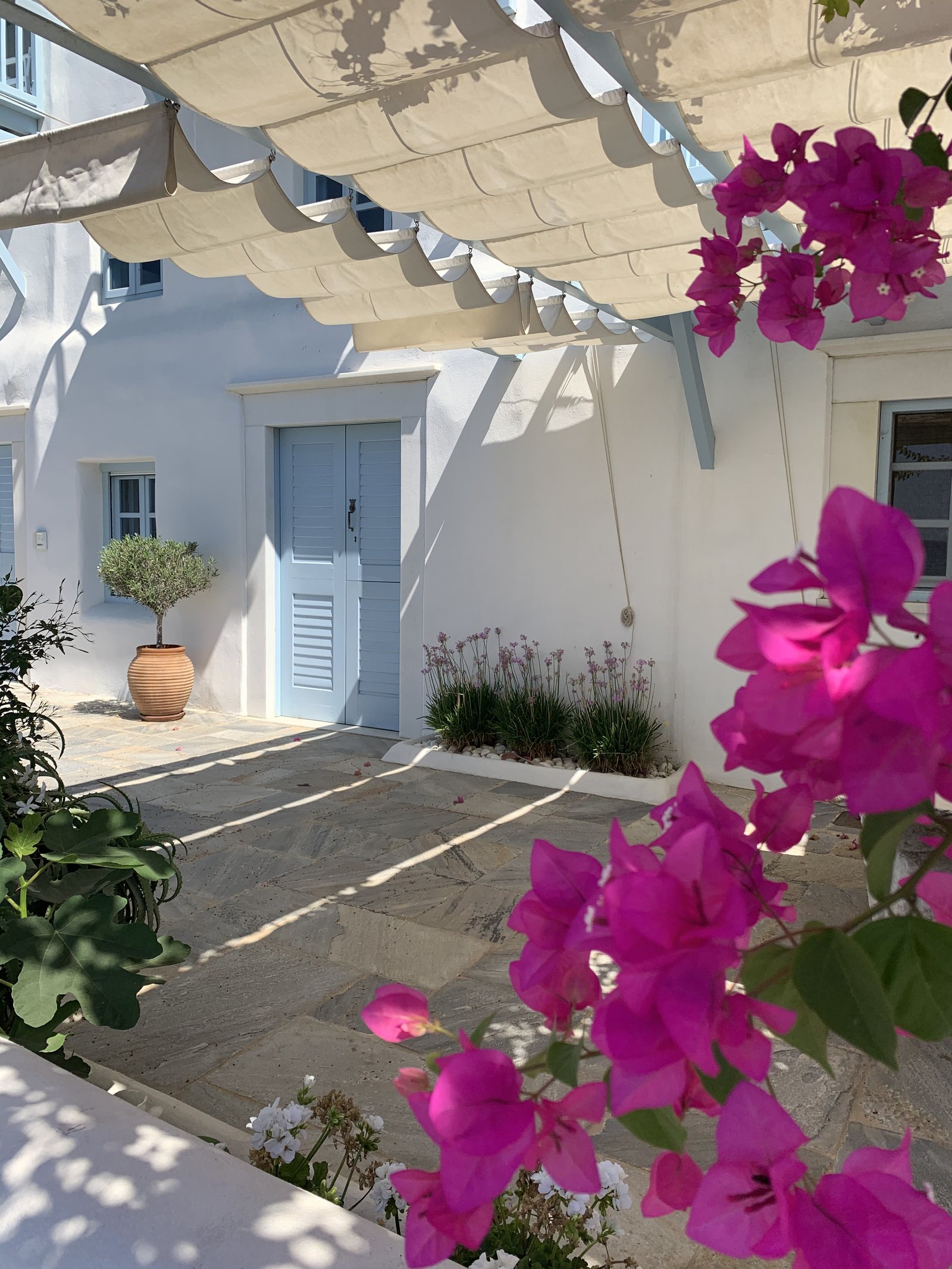 A white courtyard under a canvas awning, with a pale blue louvred door and bougainvillea in the foreground