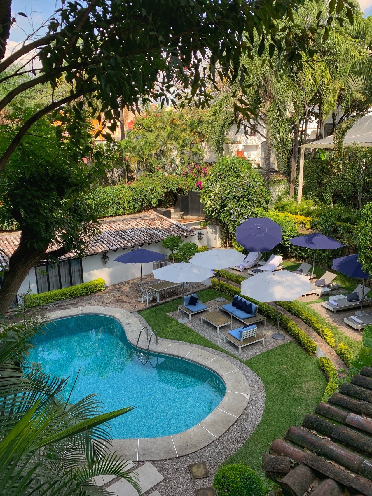 A pool seen from above through the branches of a garden, blue parasols along one side