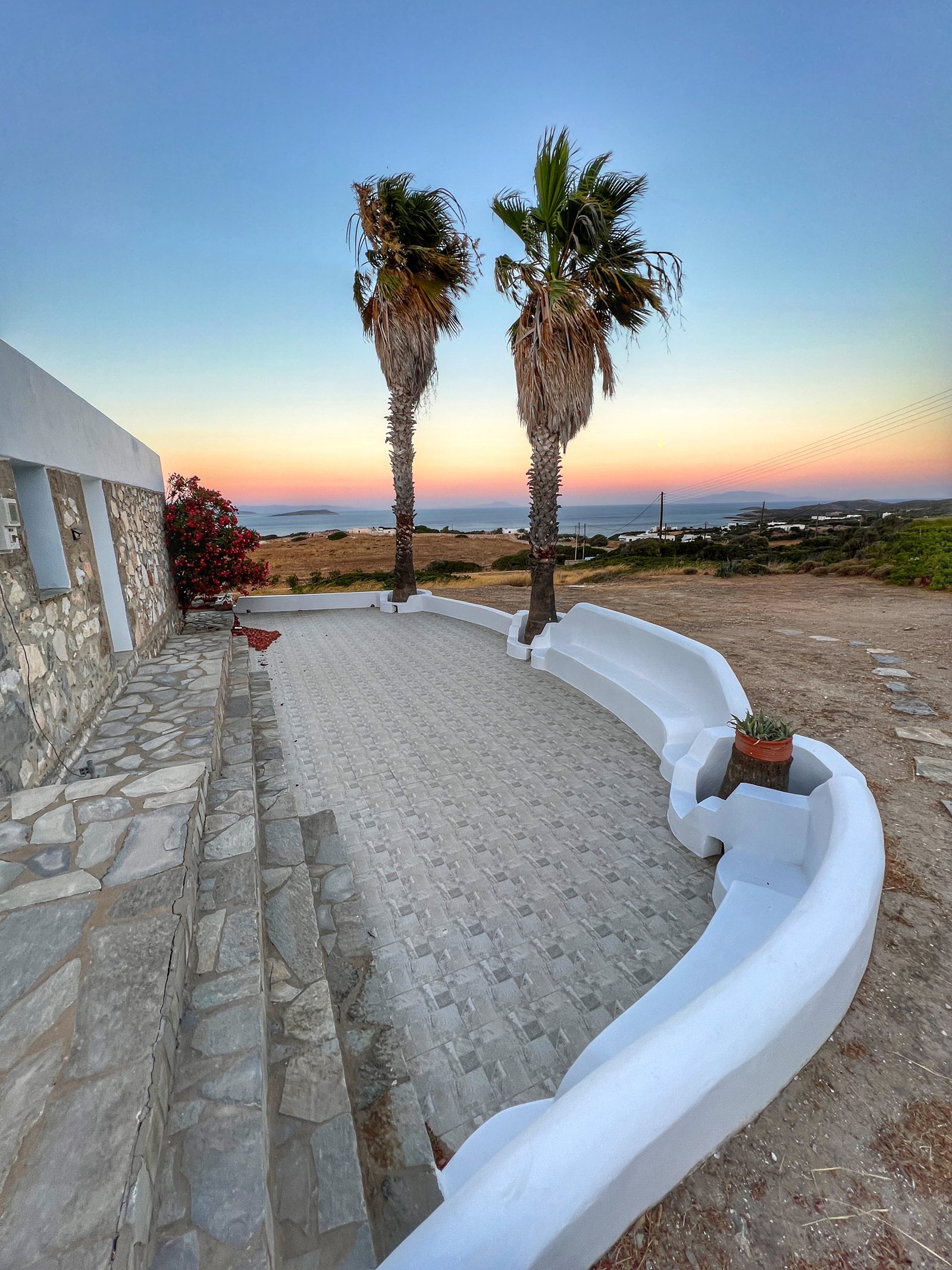 A curved white wall along a stone path, two palms against the last light