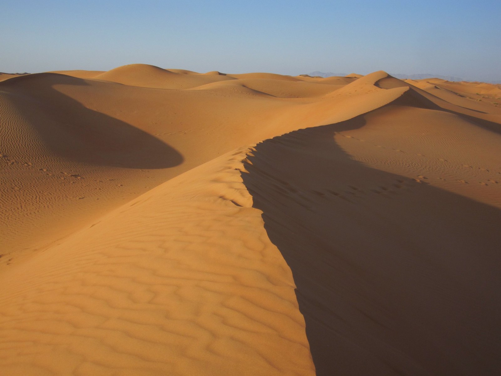 The crest of a sand dune curving away at sundown, ripples across the face and more dunes to the horizon