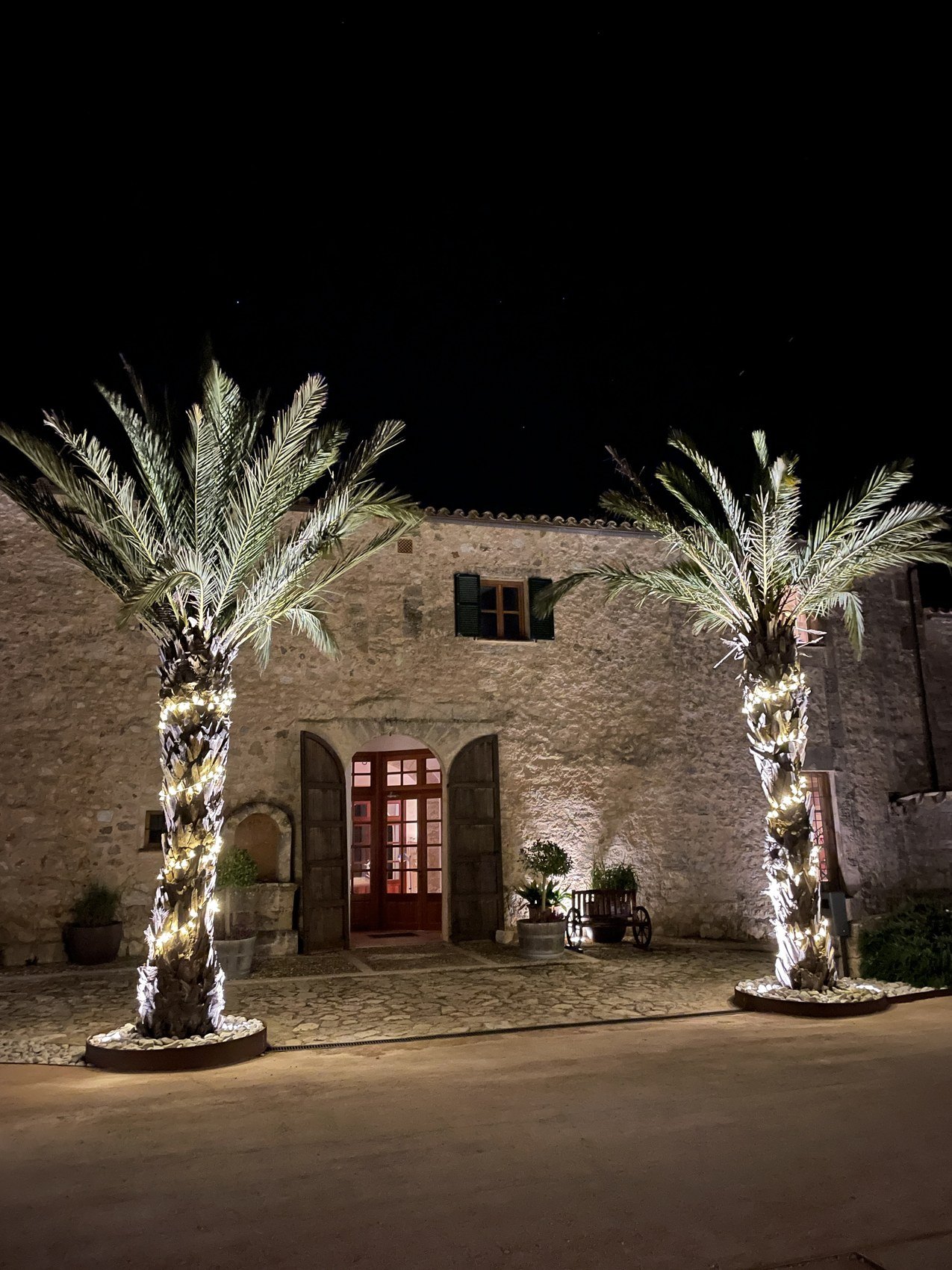 Two palms strung with lights in front of a stone farmhouse at night